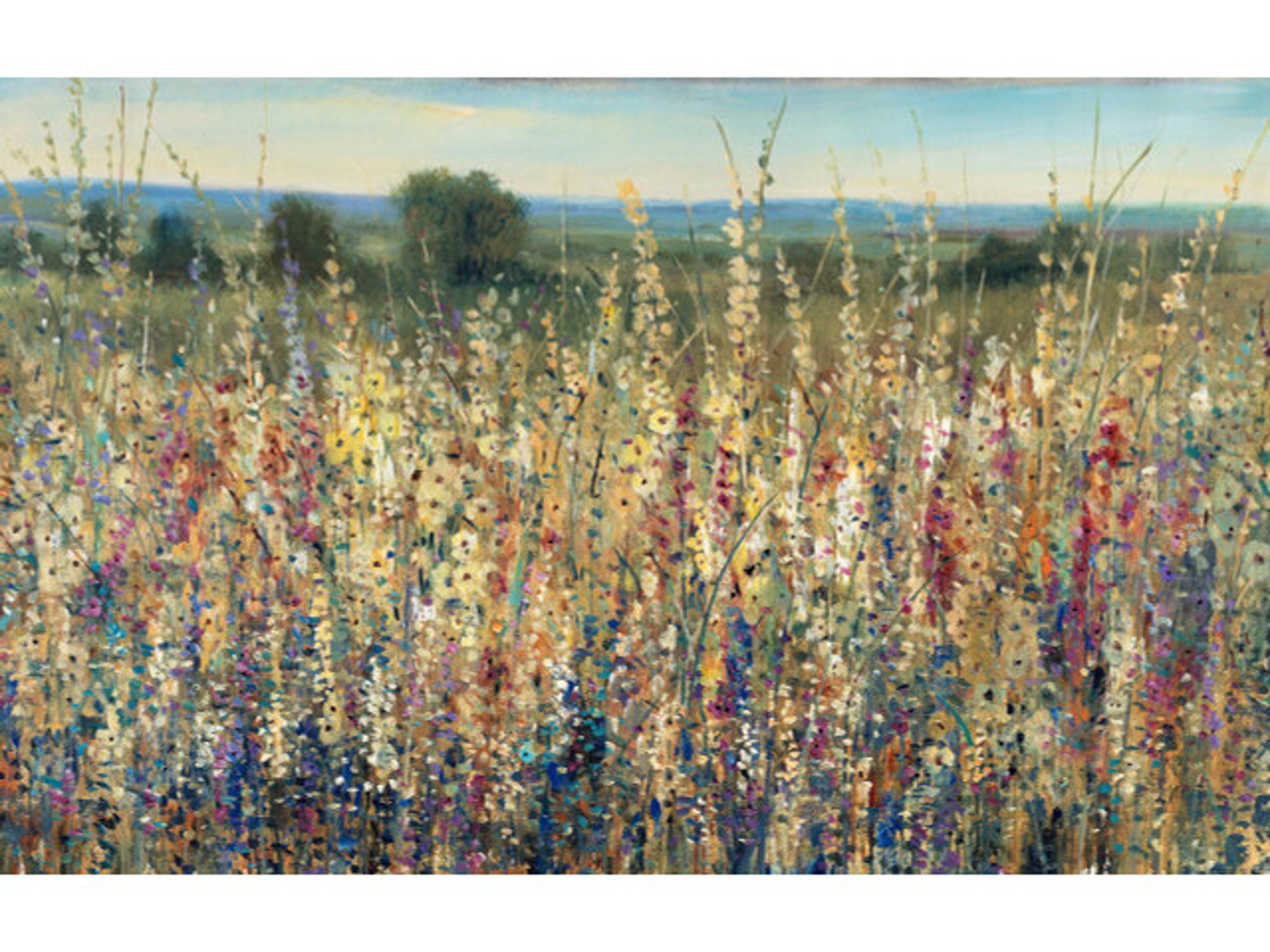 Daleno Close Coastline Wall Art