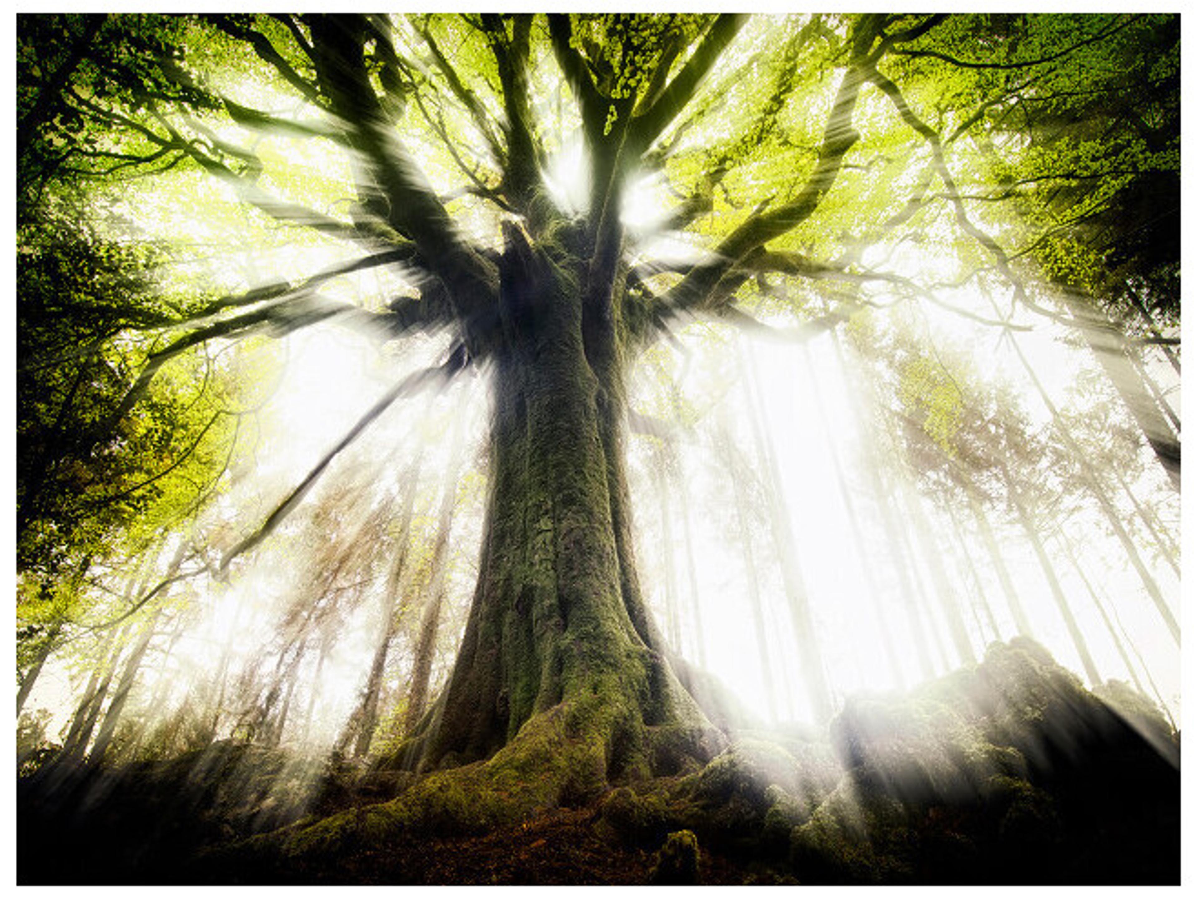 Daleno Drama Class Wall Art