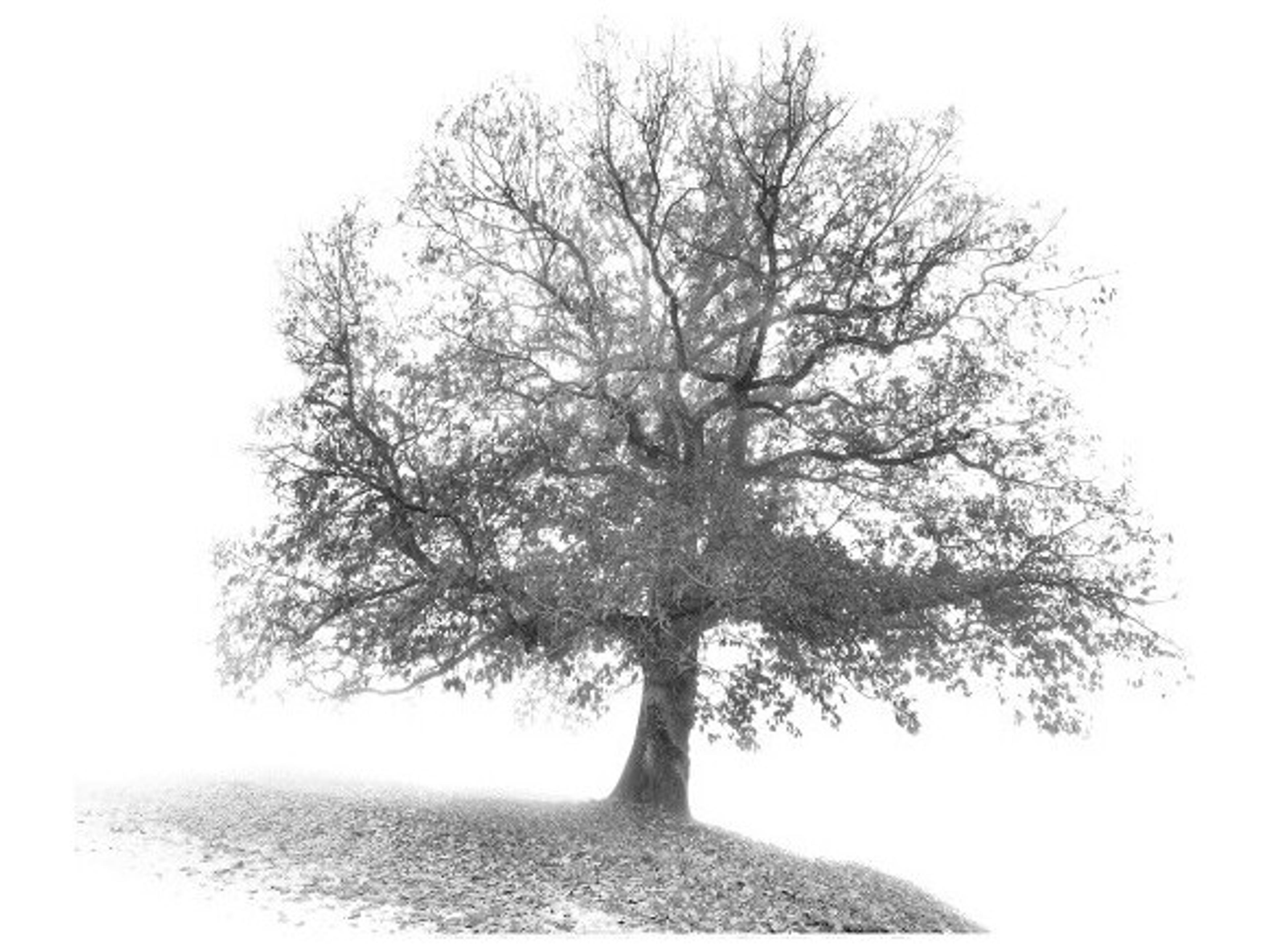 Pause and Play Wall Art