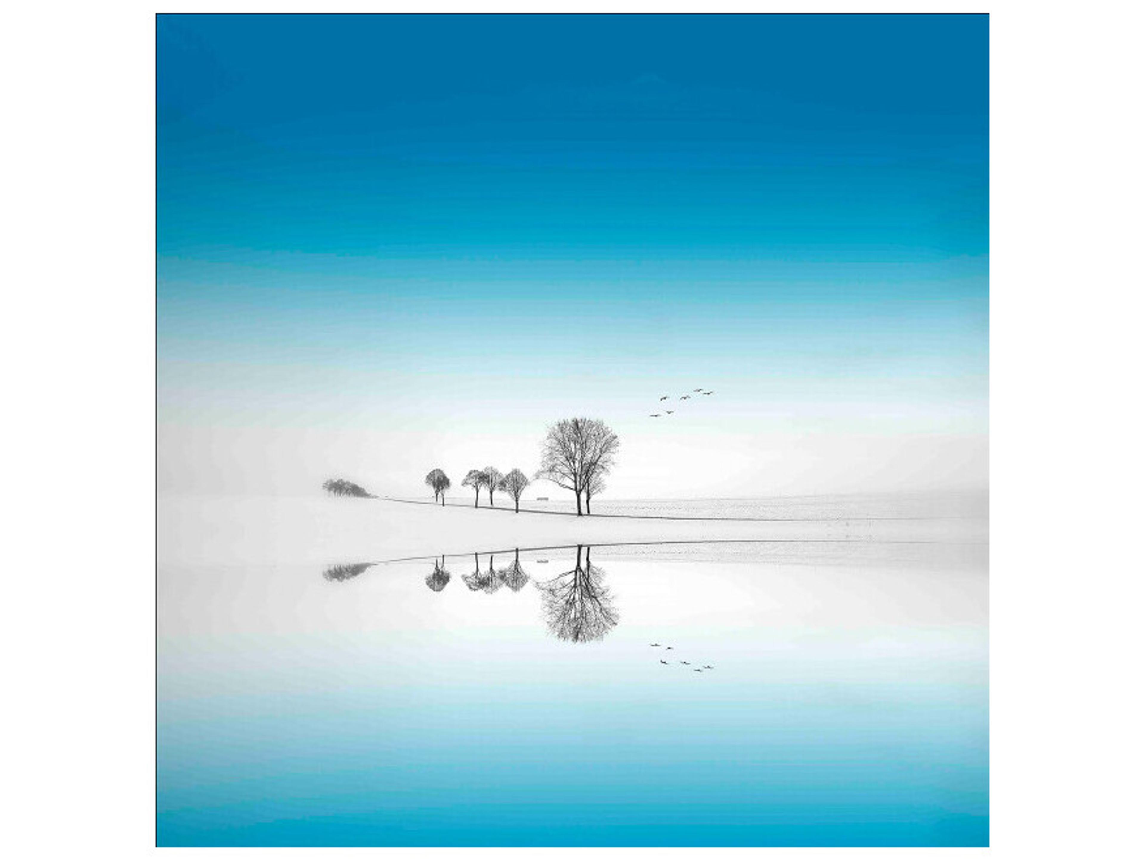 Daleno Migrate Wall Art