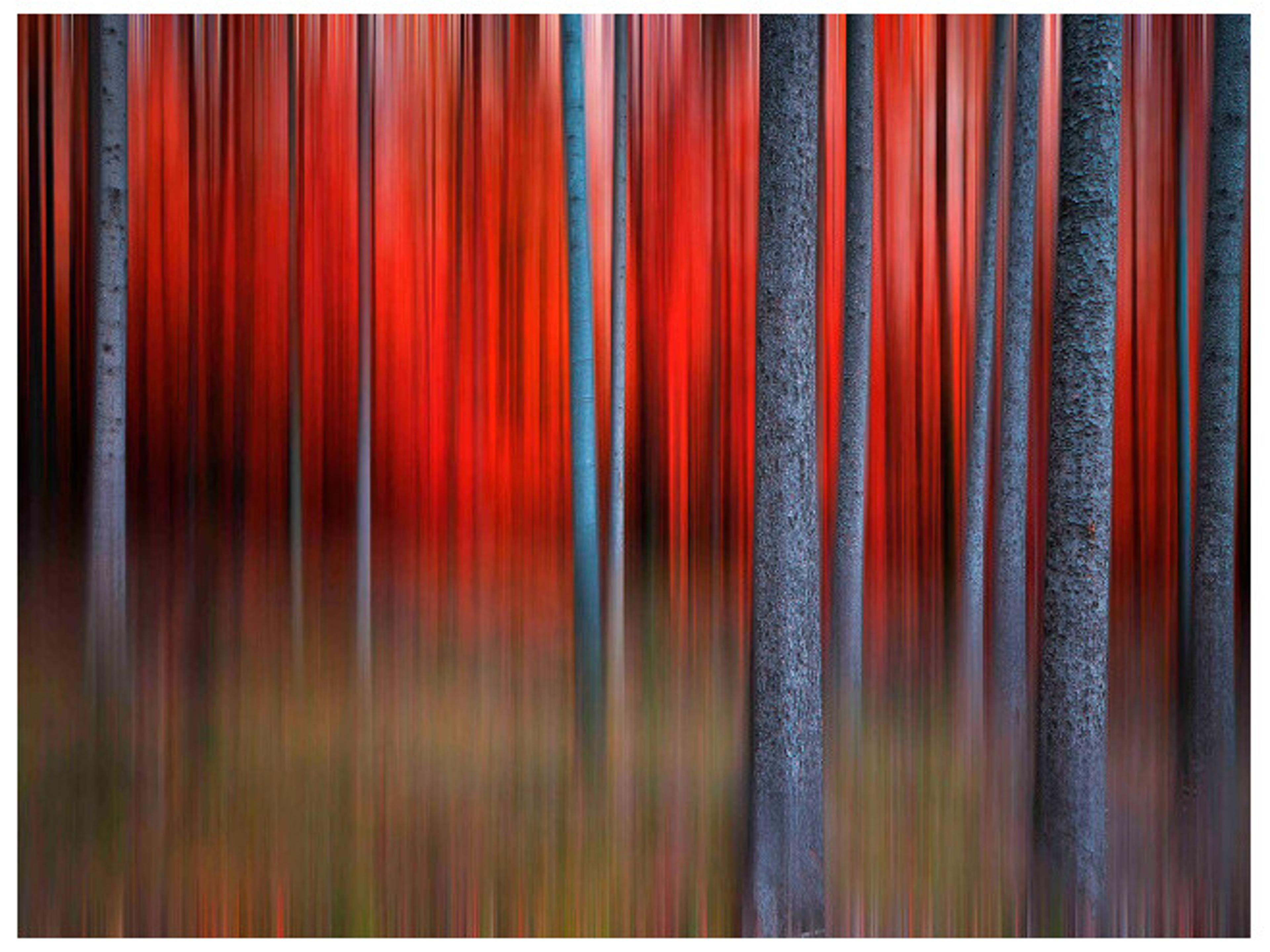 Daleno Been There Wall Art