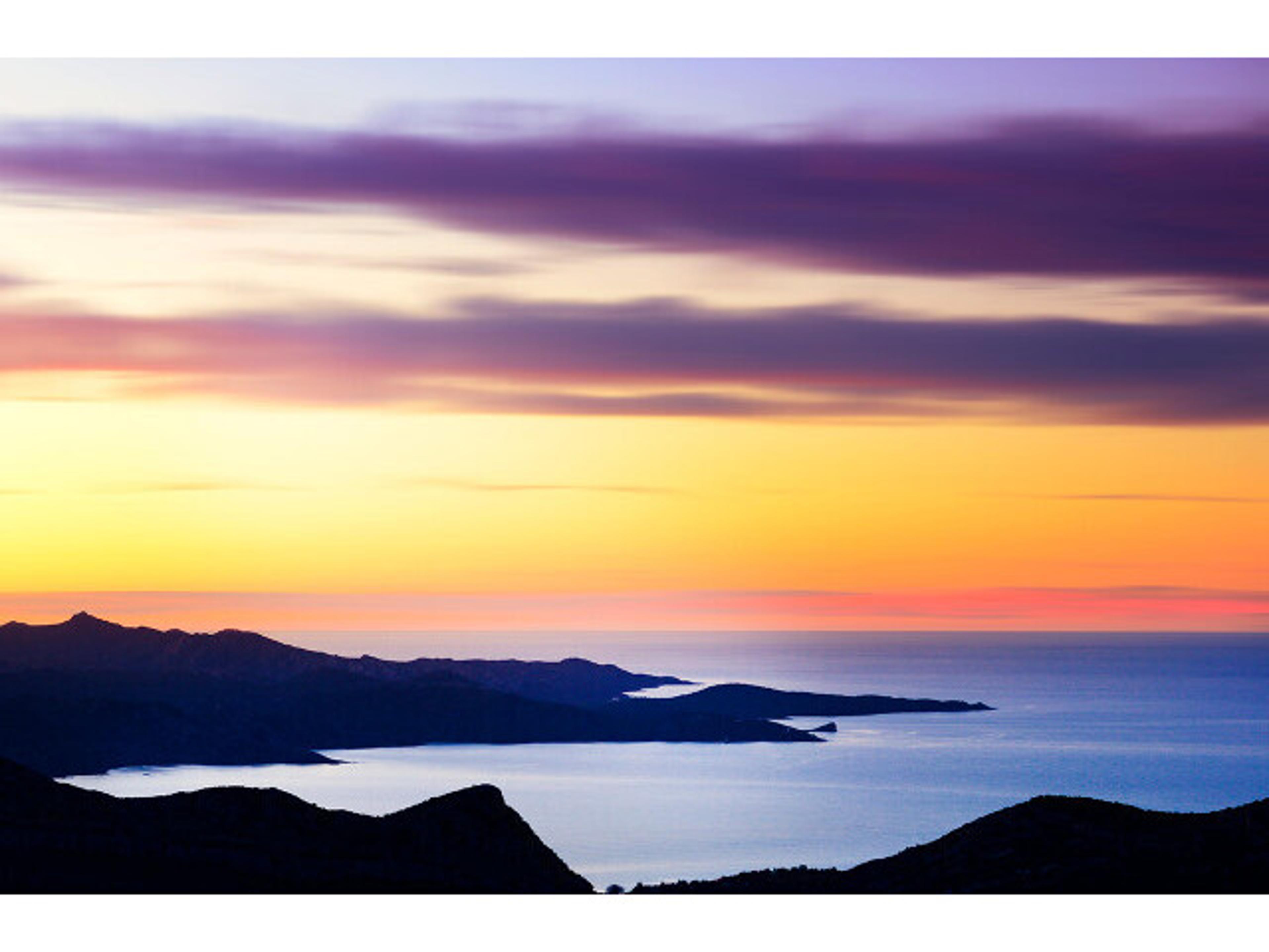 Daleno Lost It Wall Art