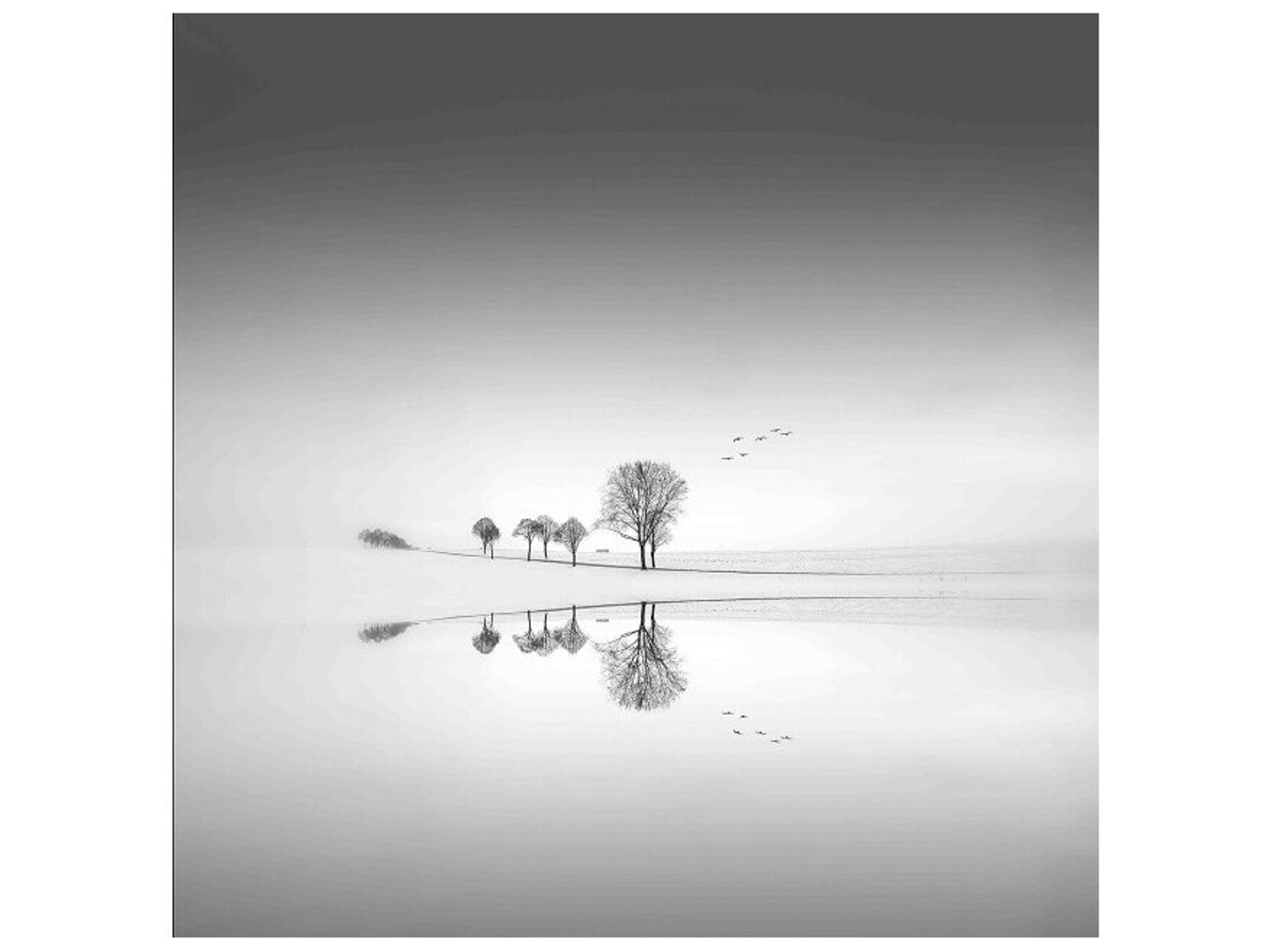 Every Occasion Wall Art