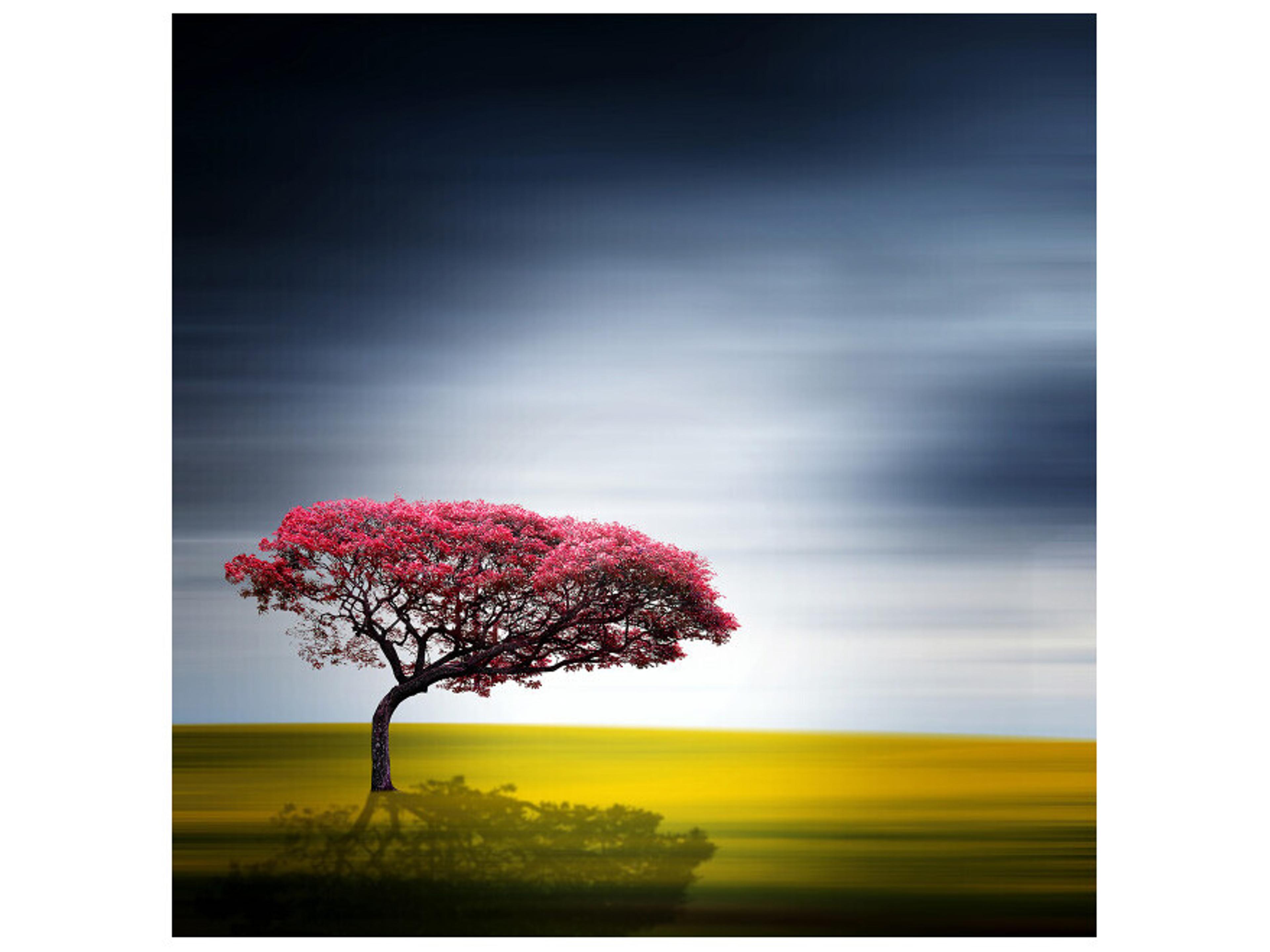 On One Occasion I Wall Art