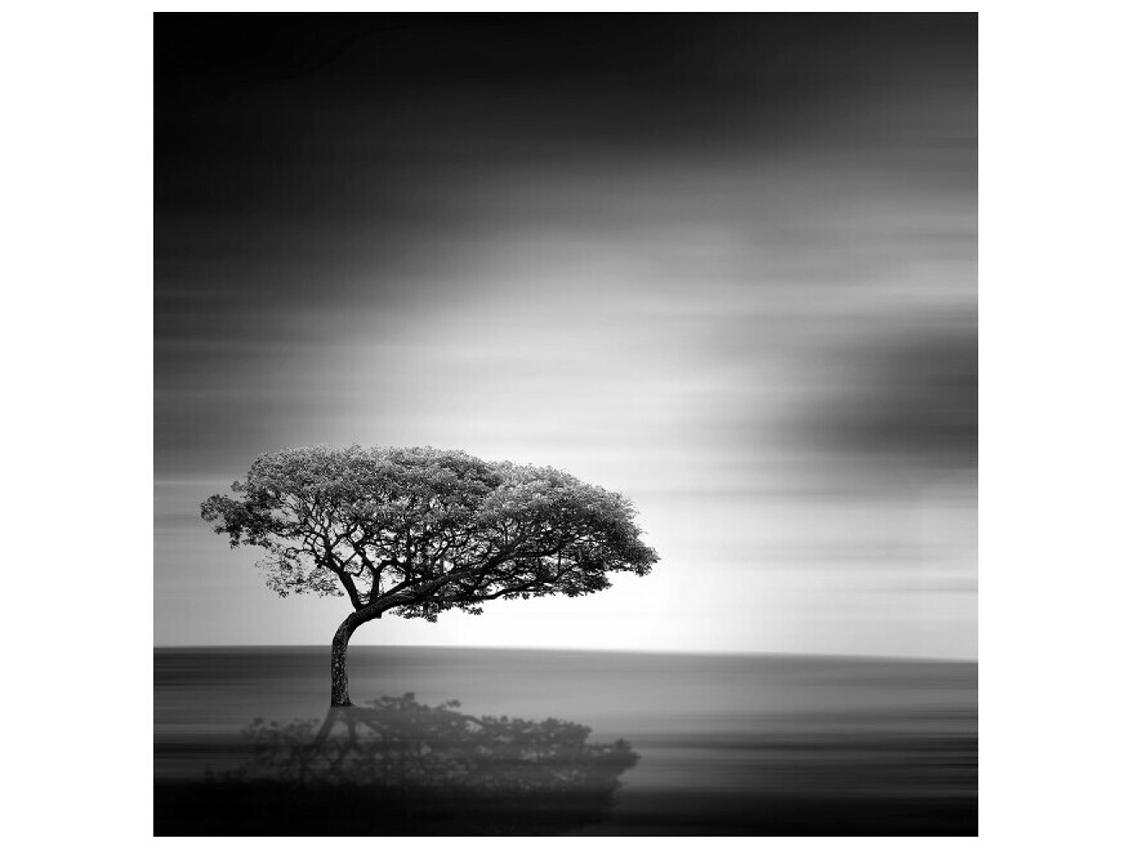 Daleno On One Occasion II Wall Art