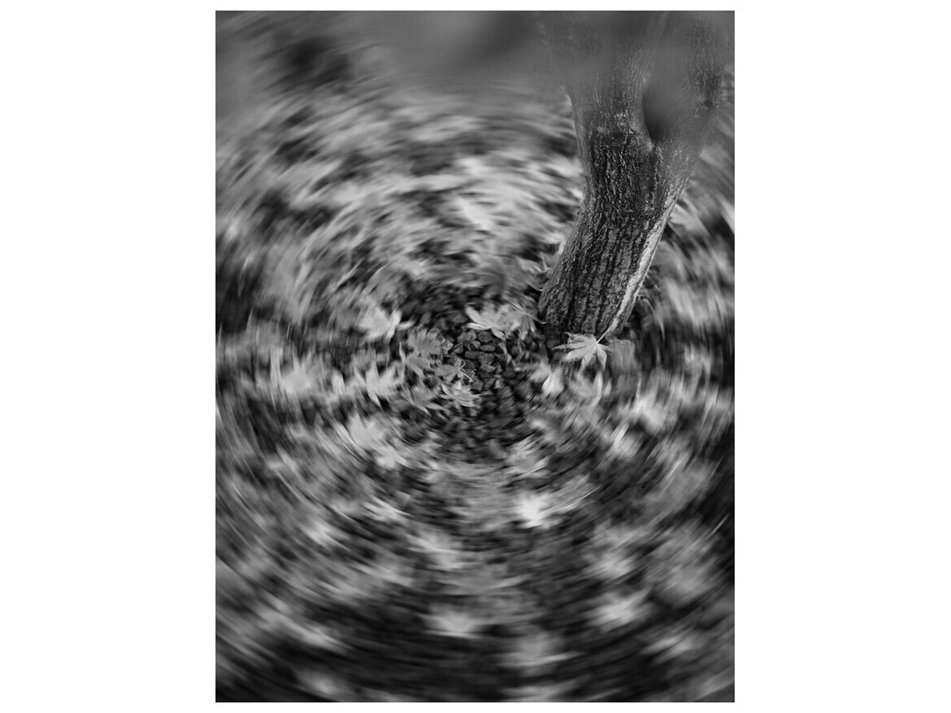 Daleno Swift Falls II Wall Art