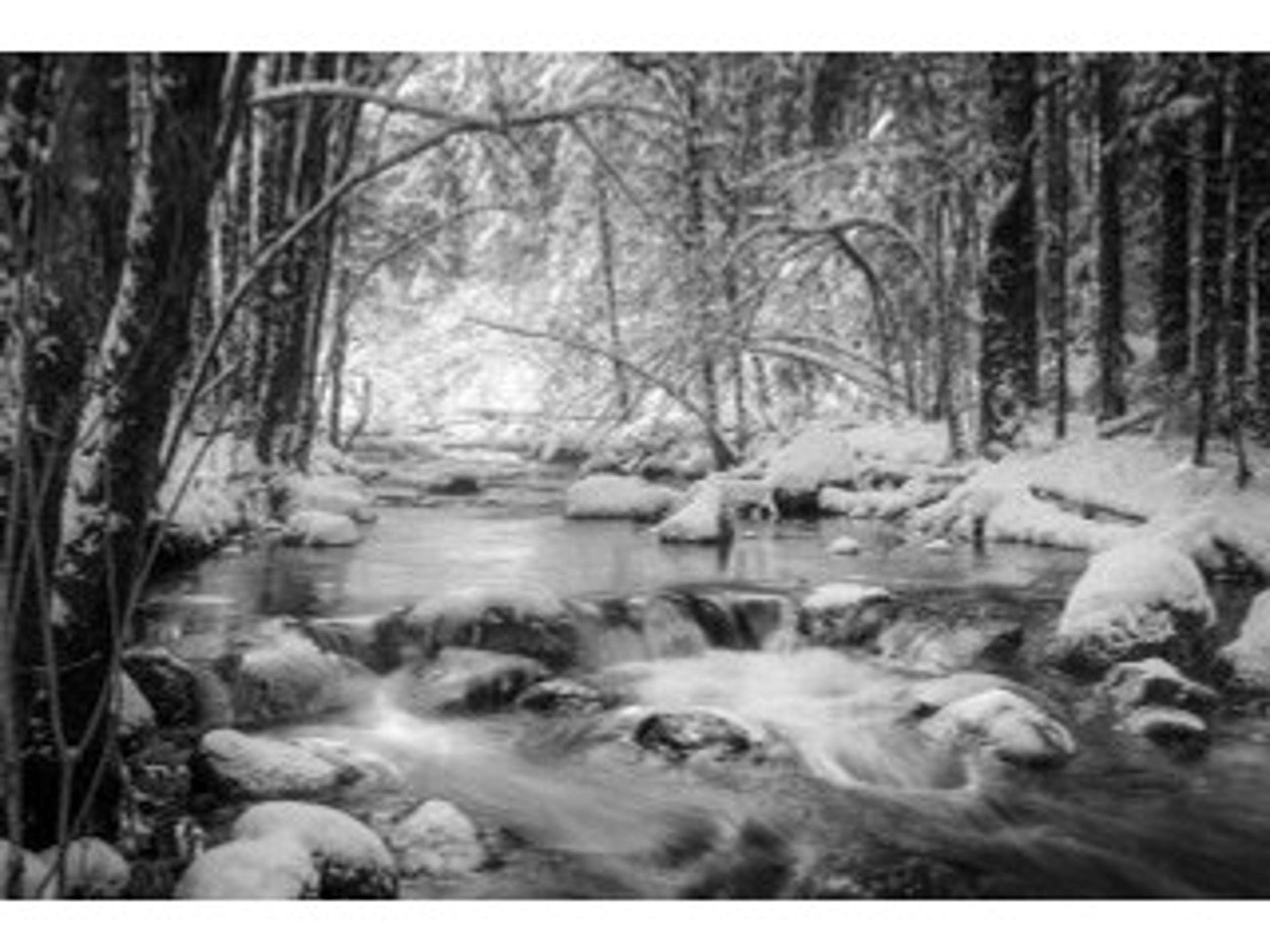 Daleno Pristine II Wall Art