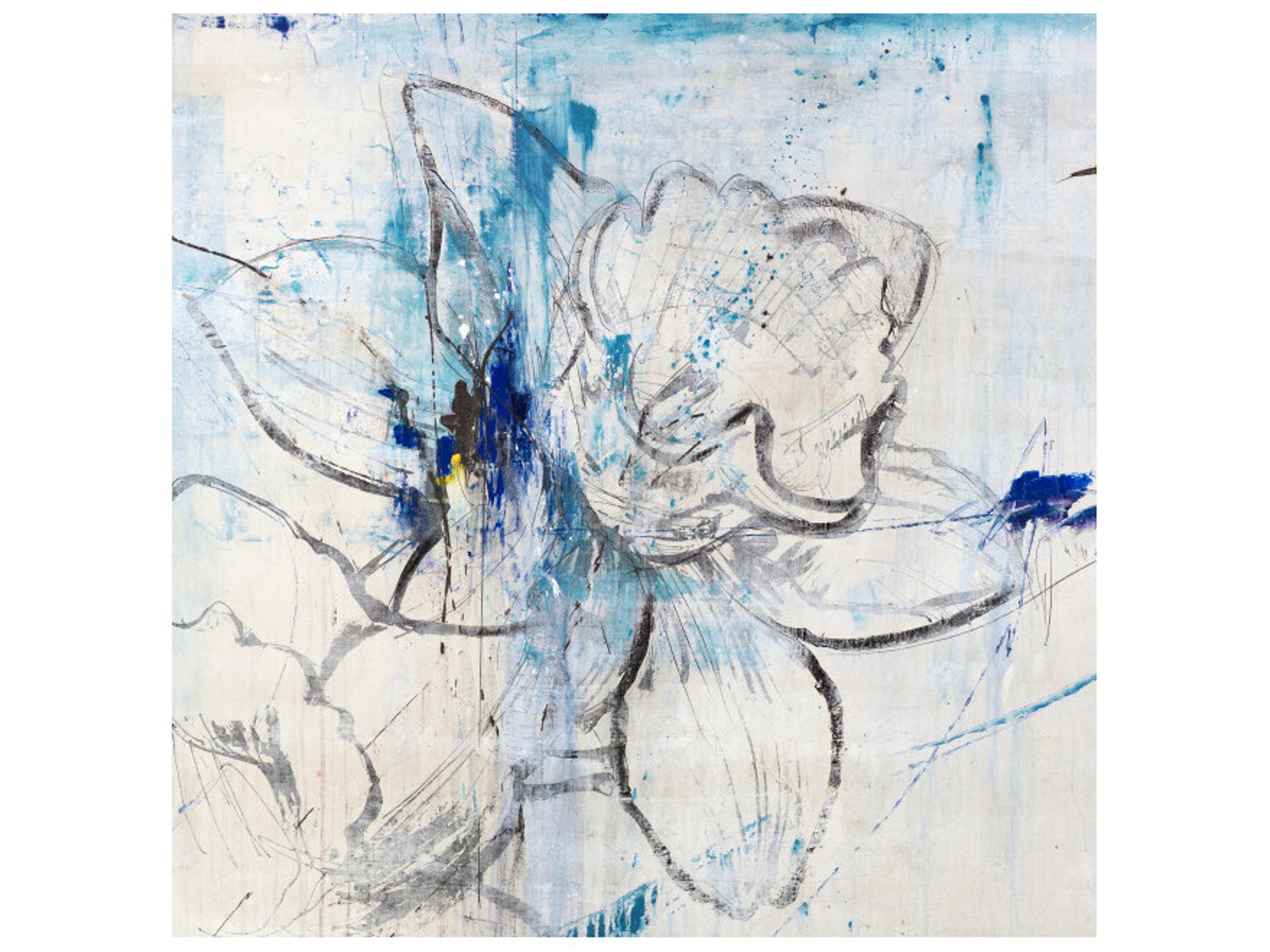 Alpha Annual Wall Art