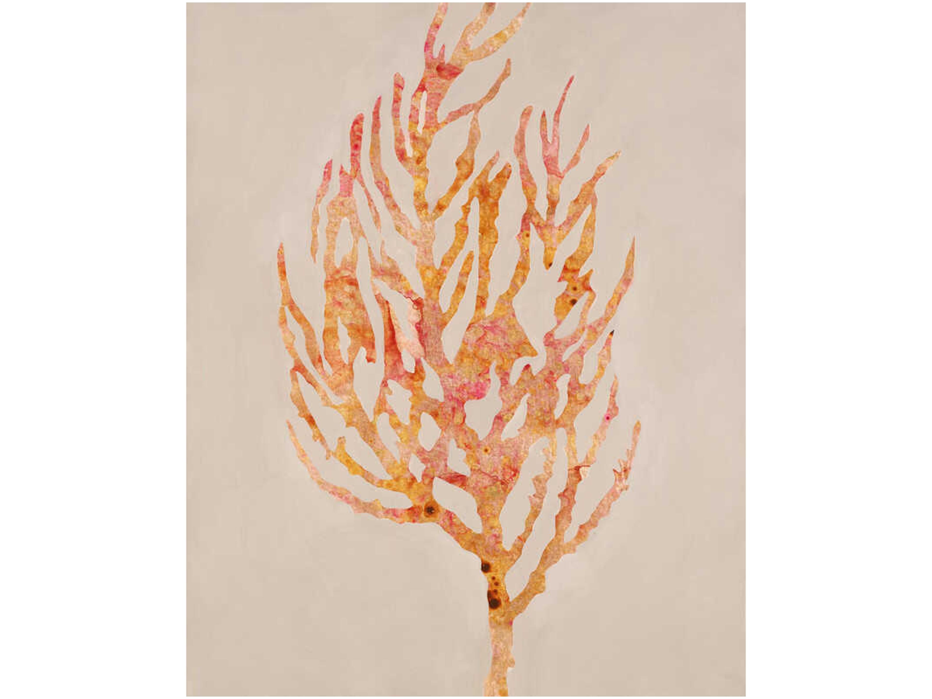 Fancy Floaters I Wall Art