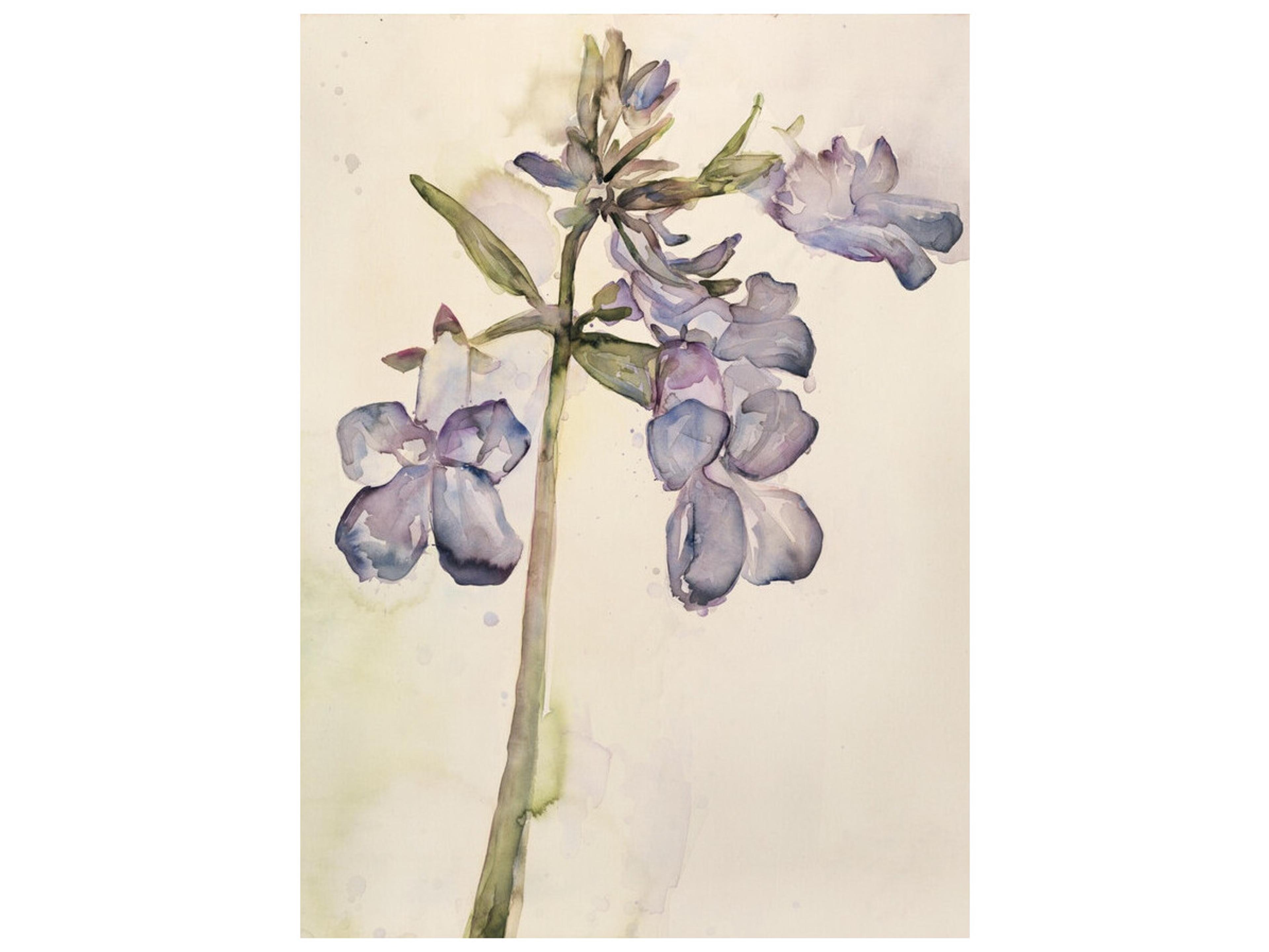 Garden Accomplishments III Wall Art