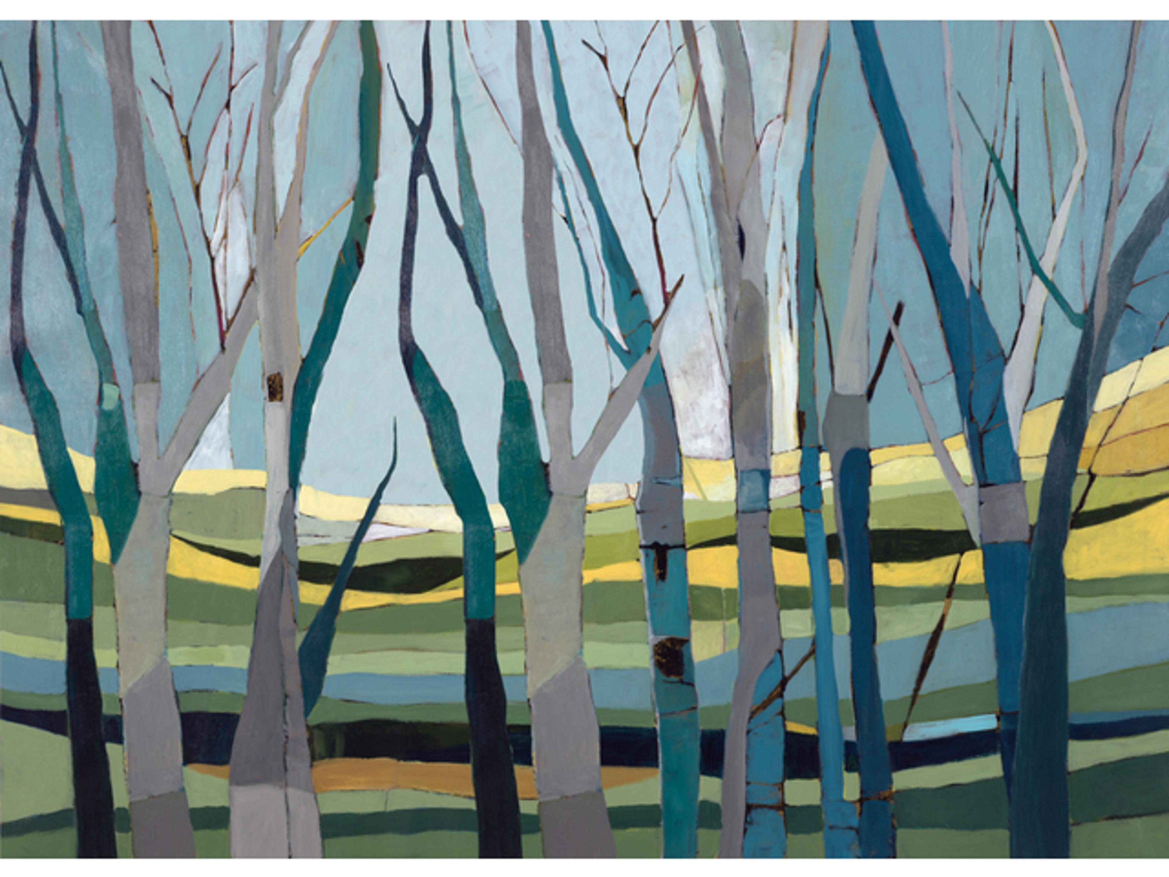 A Wink in the Woods Wall Art