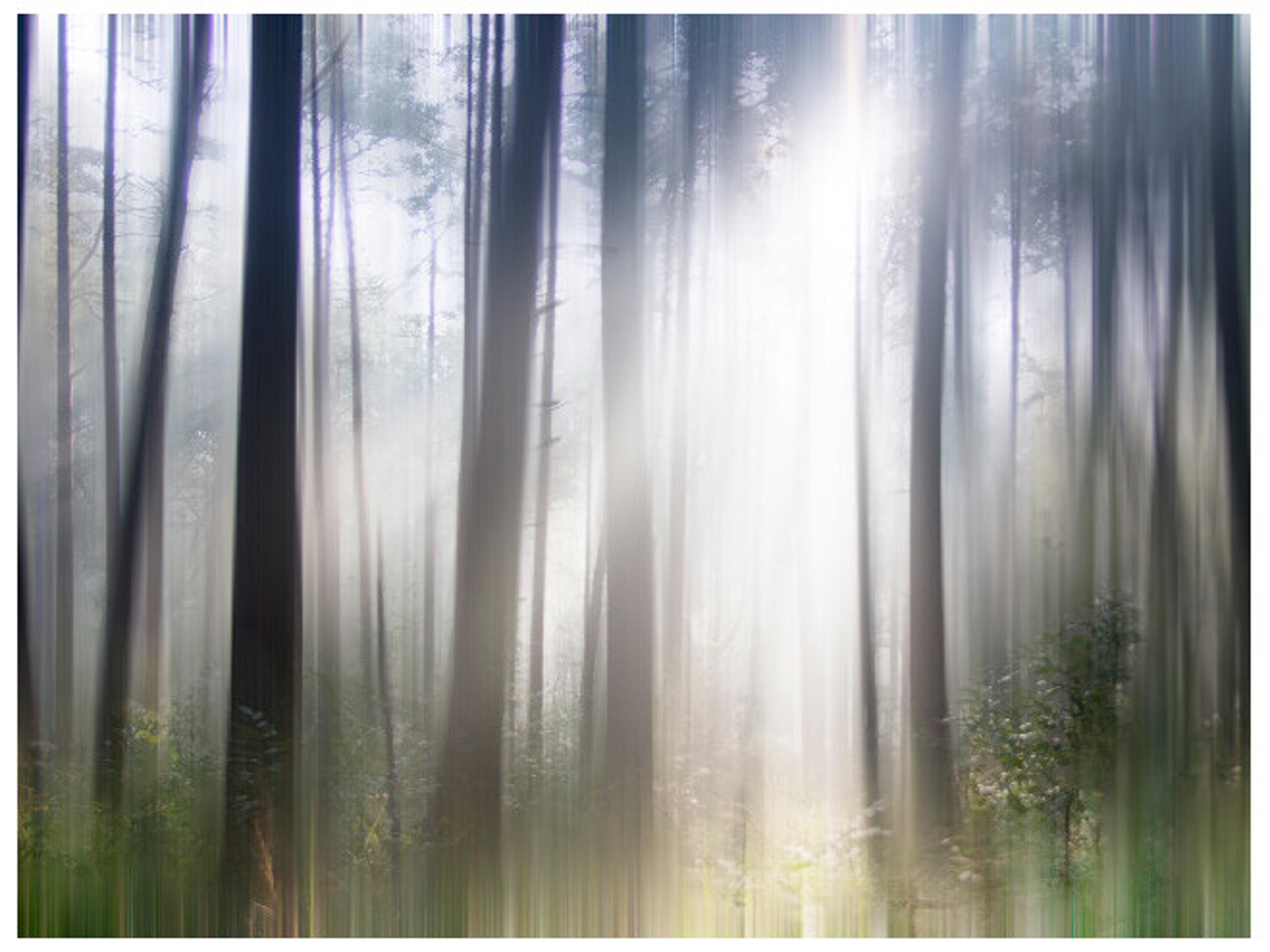 Basic Instinct Wall Art