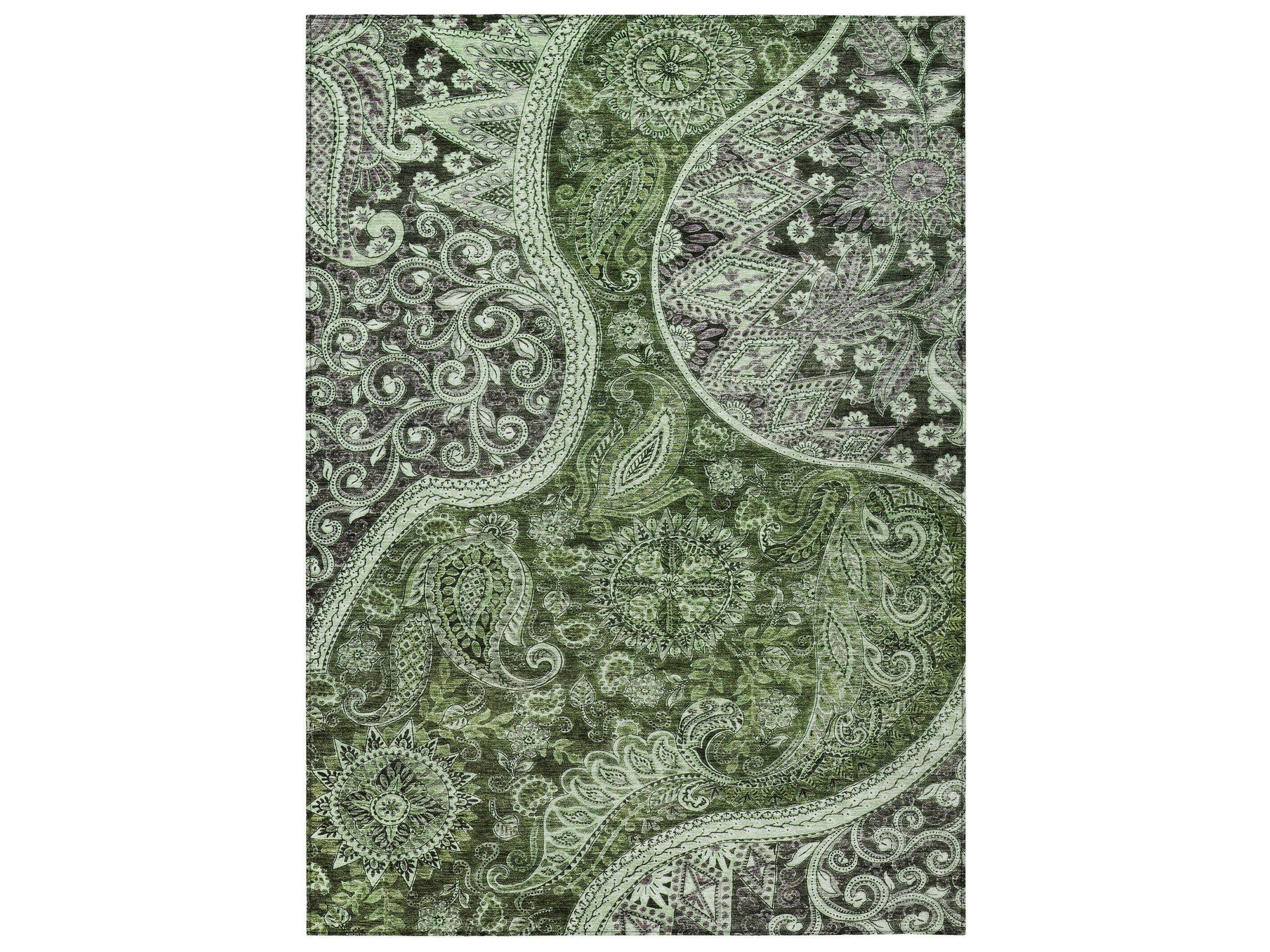 Chantille Paisley Area Rug