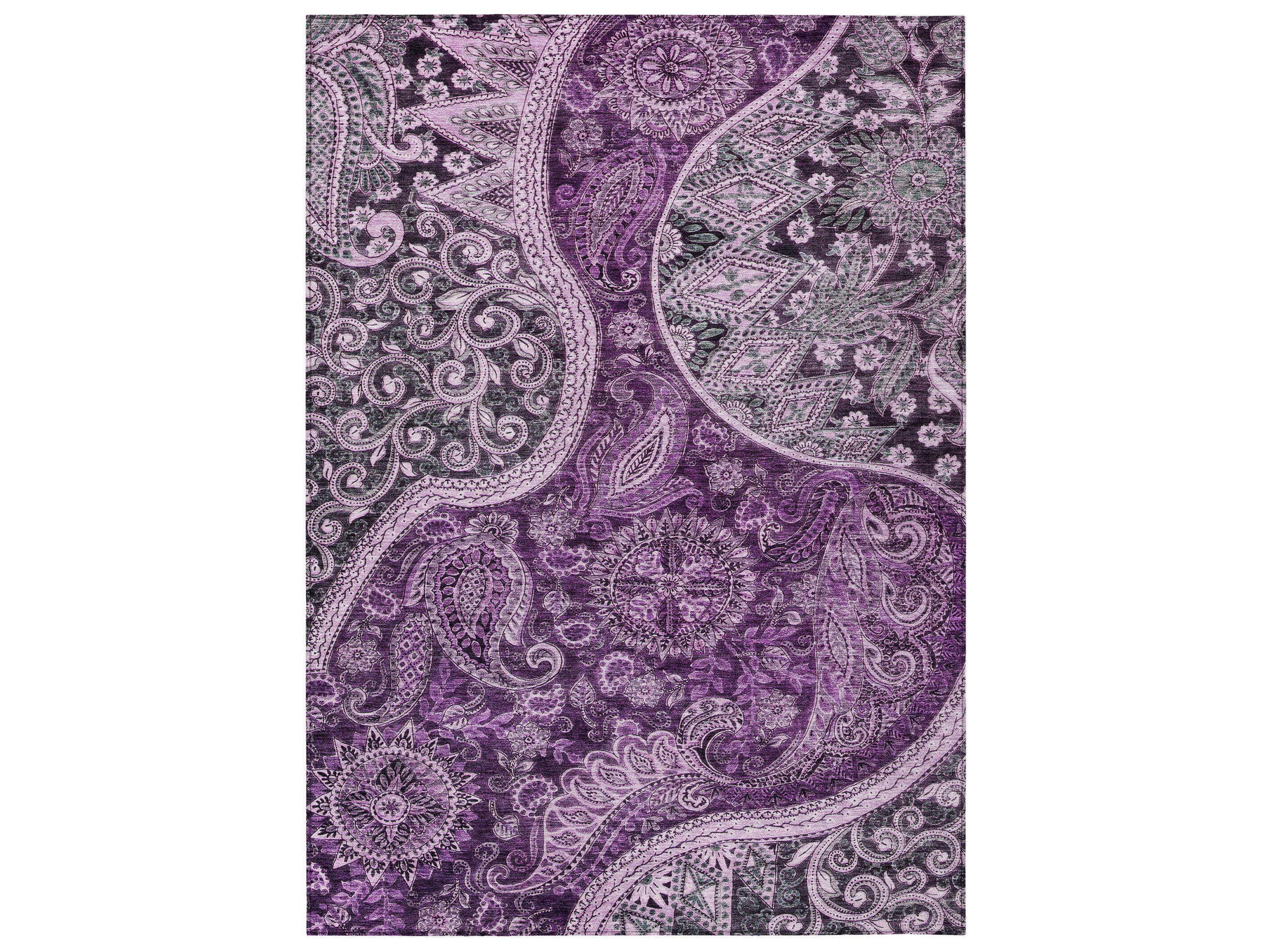 Chantille Paisley Area Rug