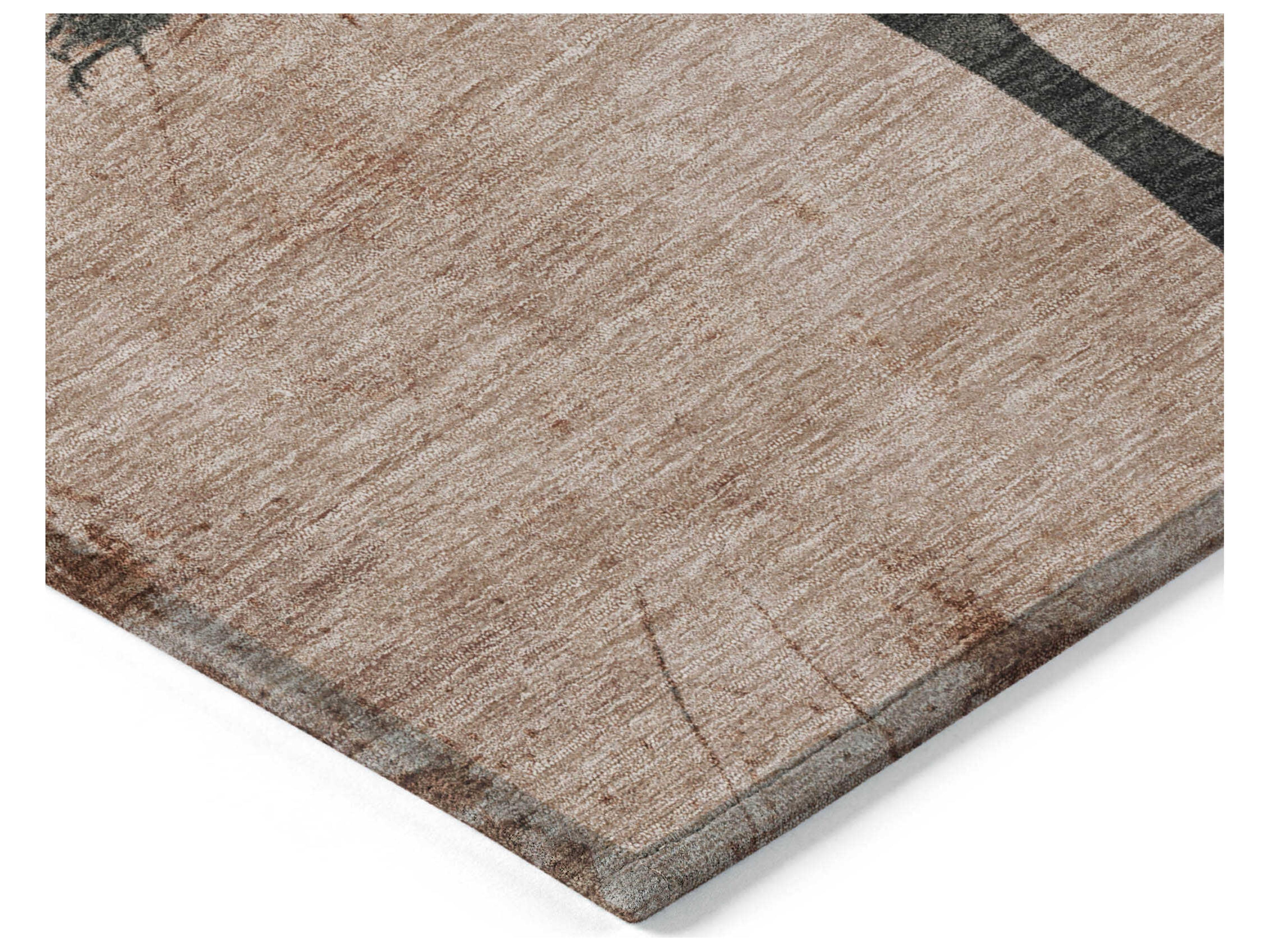 Dalyn Chantille Graphic Area Rug