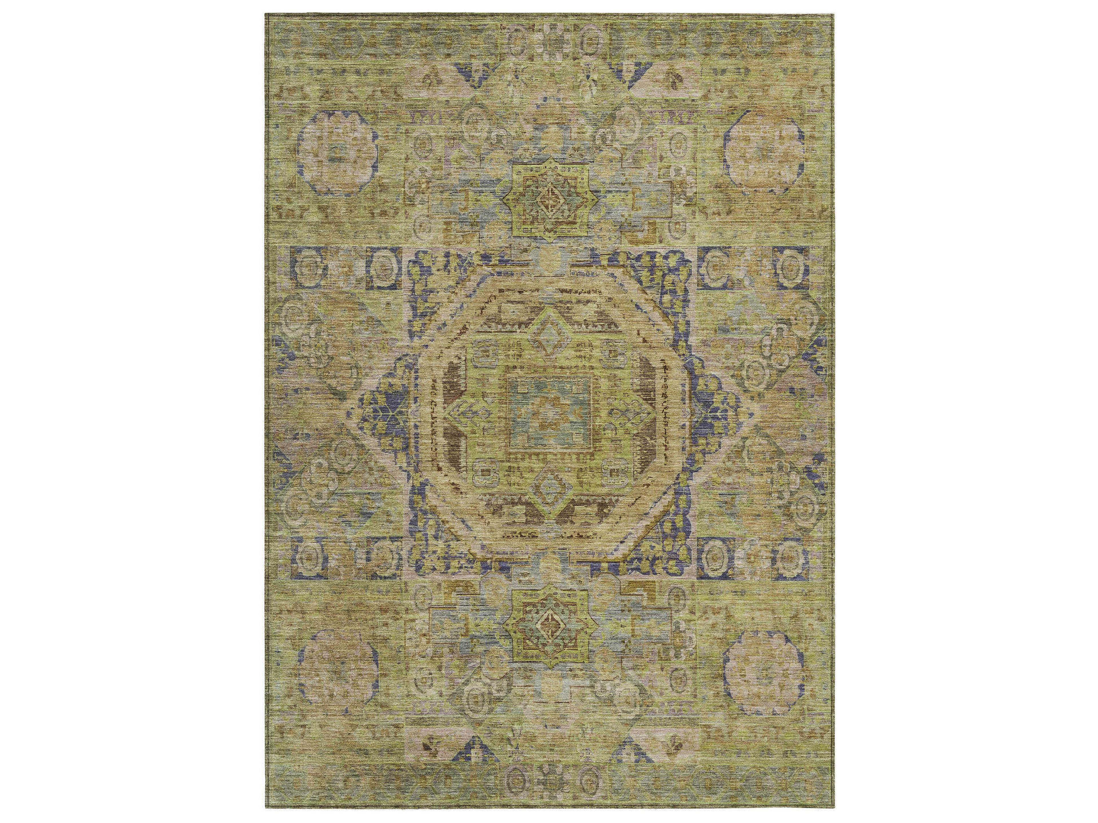 Chantille Oriental Area Rug
