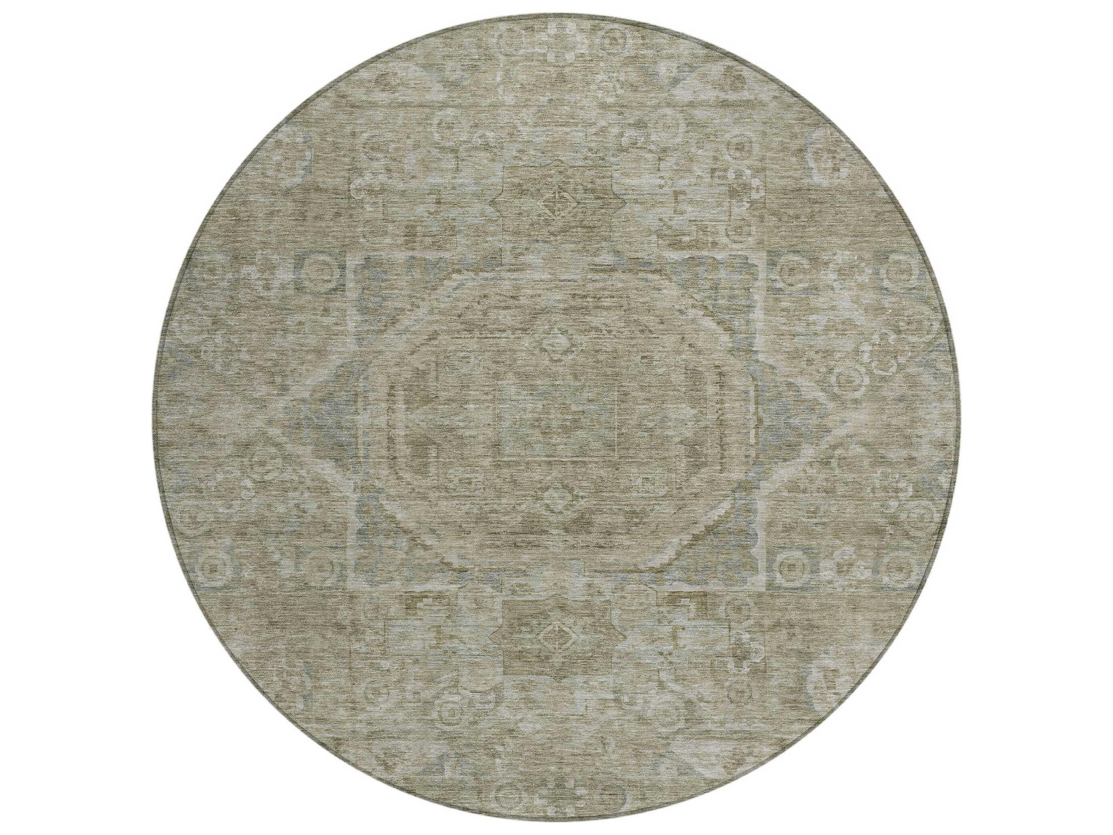Dalyn Chantille Oriental Area Rug
