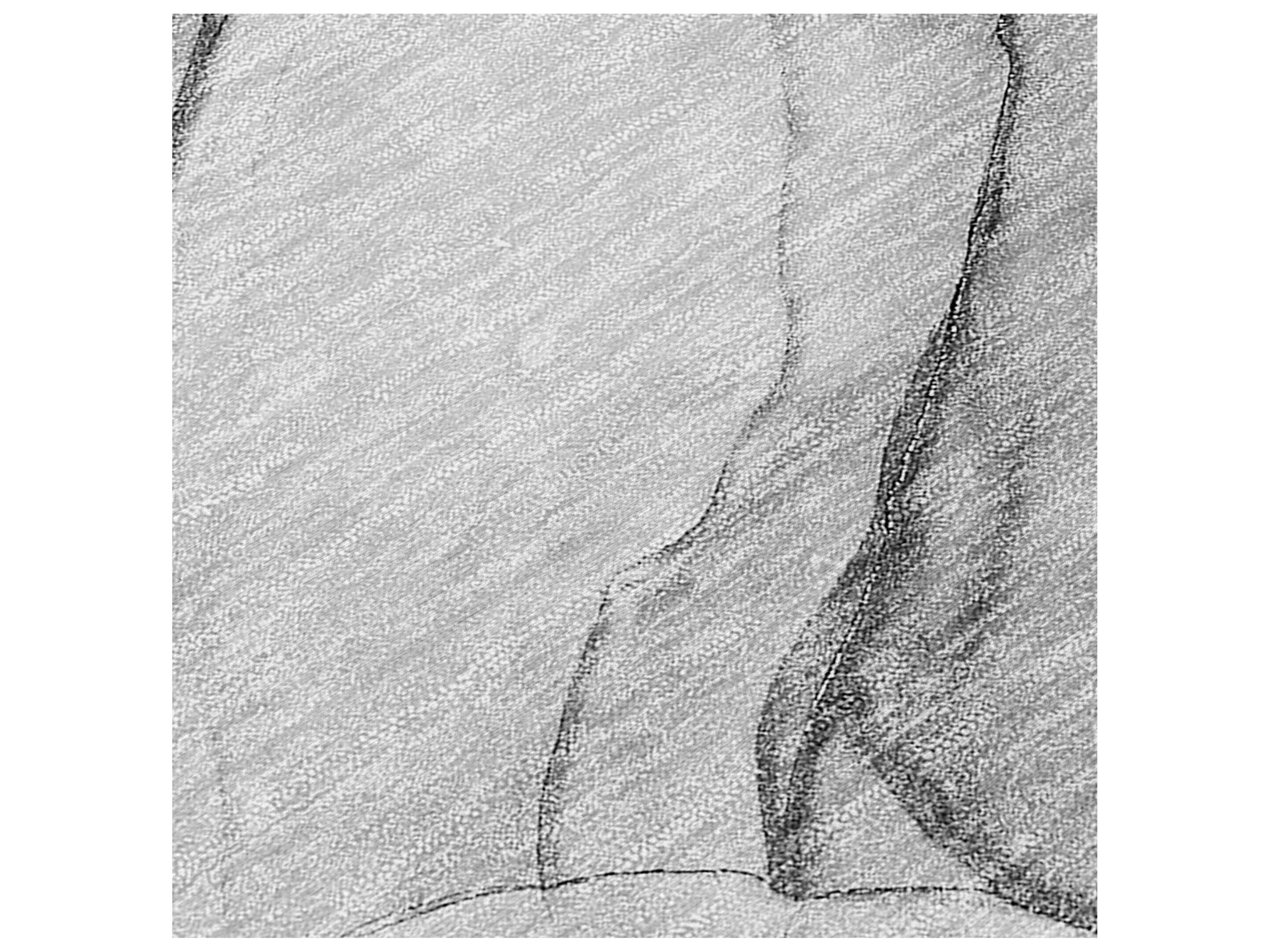 Dalyn Chantille Rectangular Area Rug