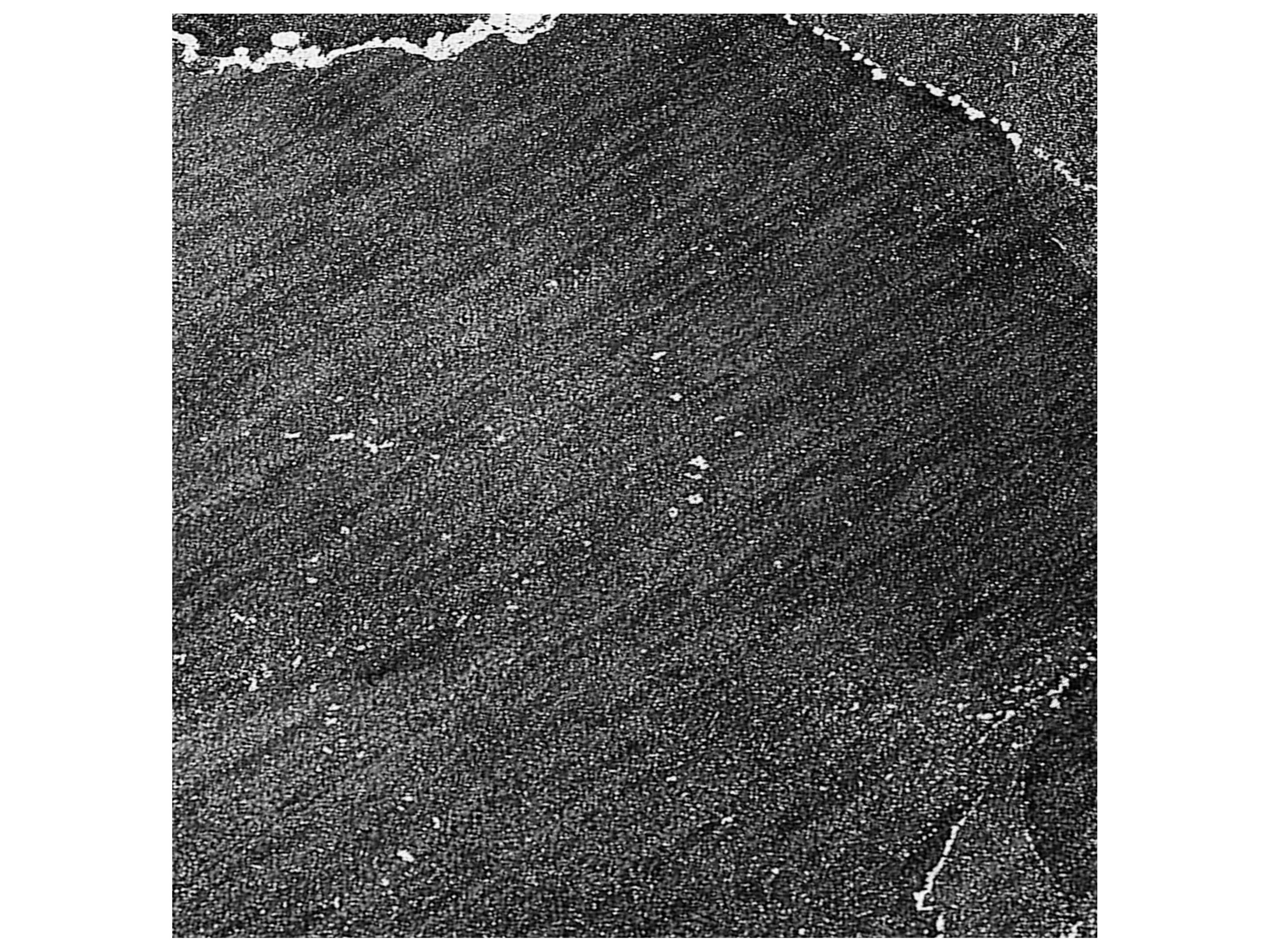 Dalyn Chantille Runner Area Rug