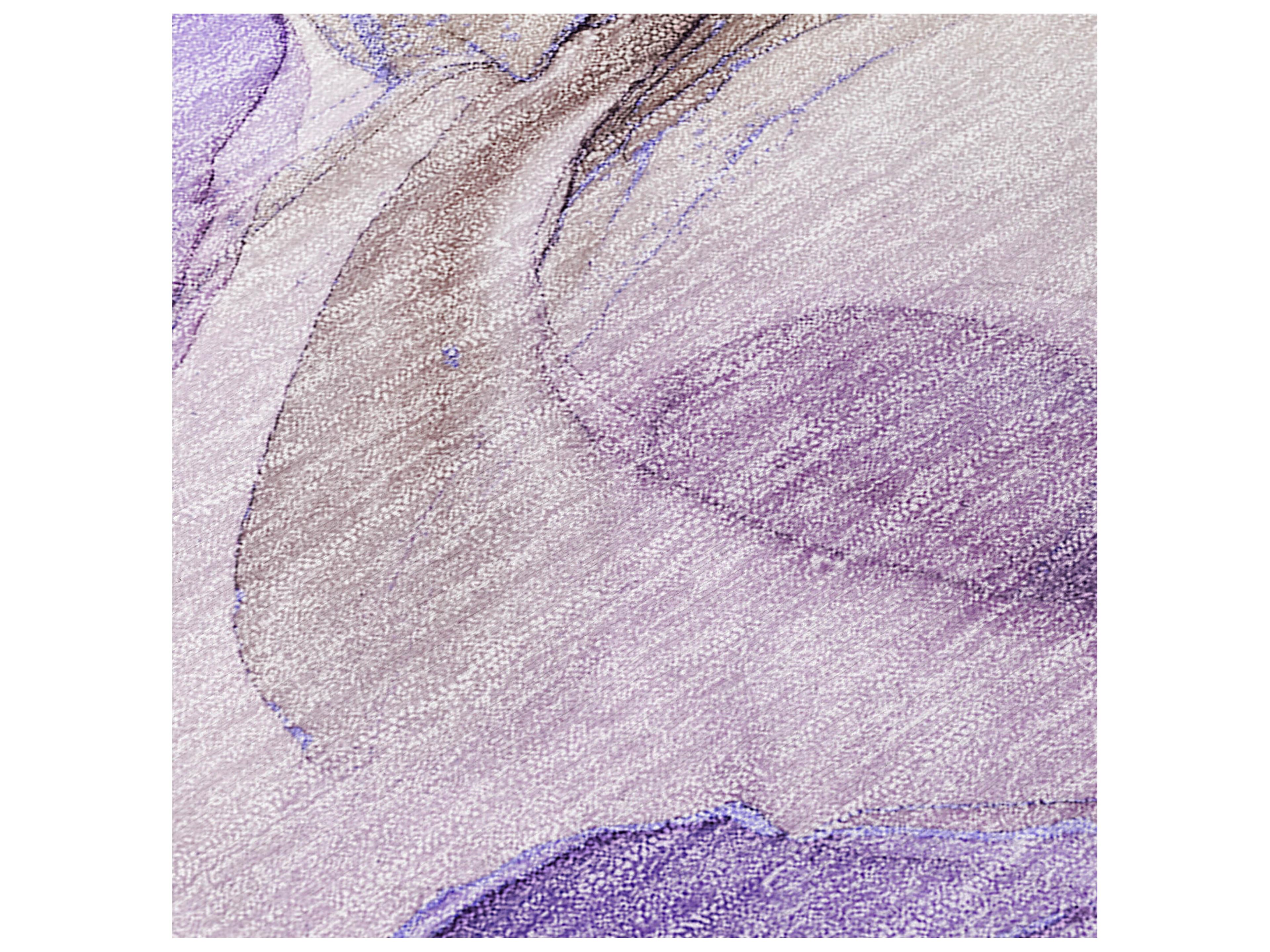 Dalyn Chantille Runner Area Rug