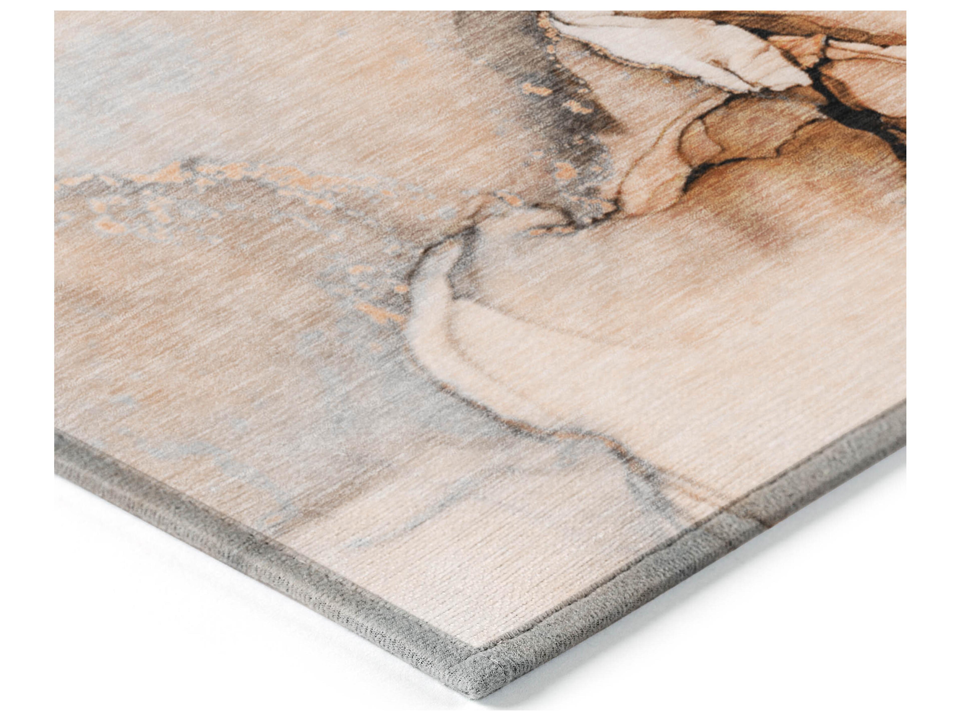Dalyn Chantille Rectangular Area Rug
