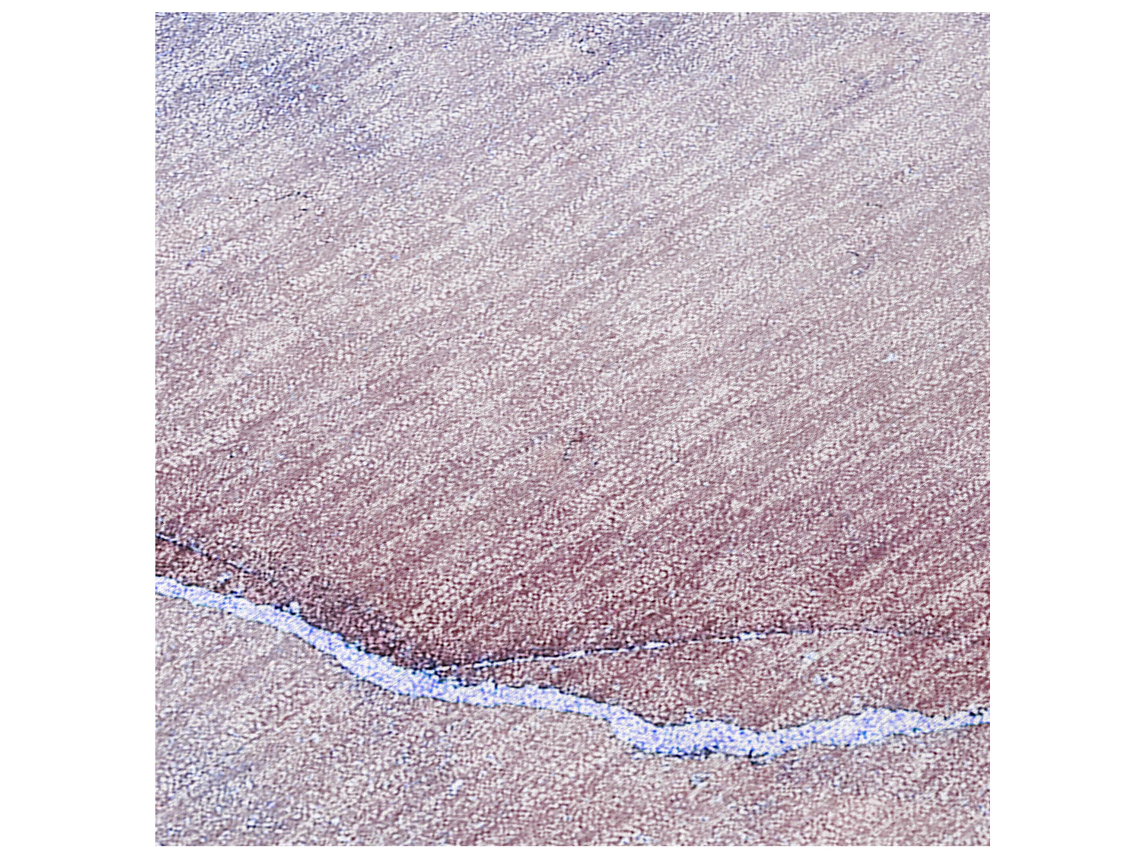 Dalyn Chantille Runner Area Rug