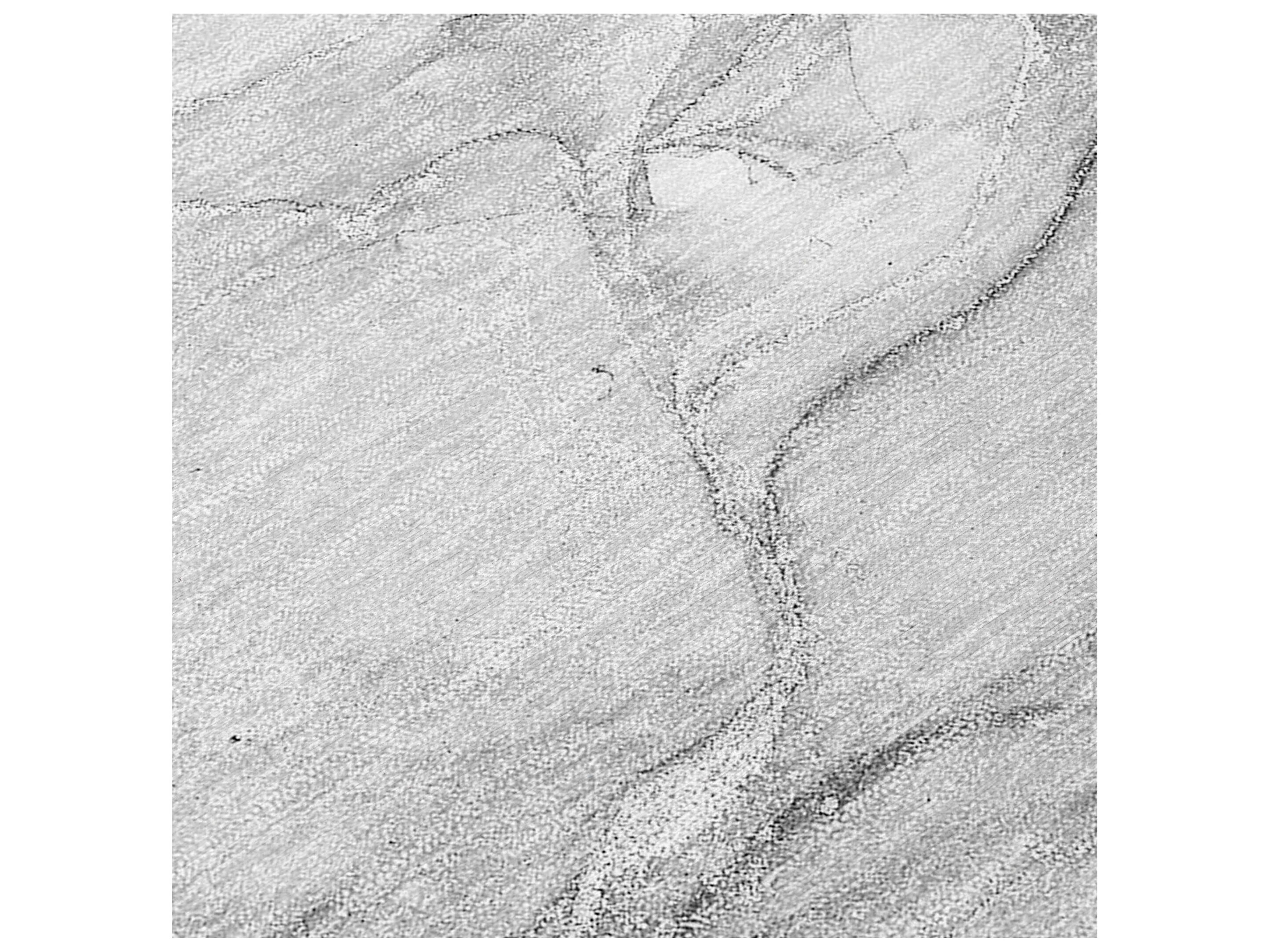 Dalyn Chantille Rectangular Area Rug