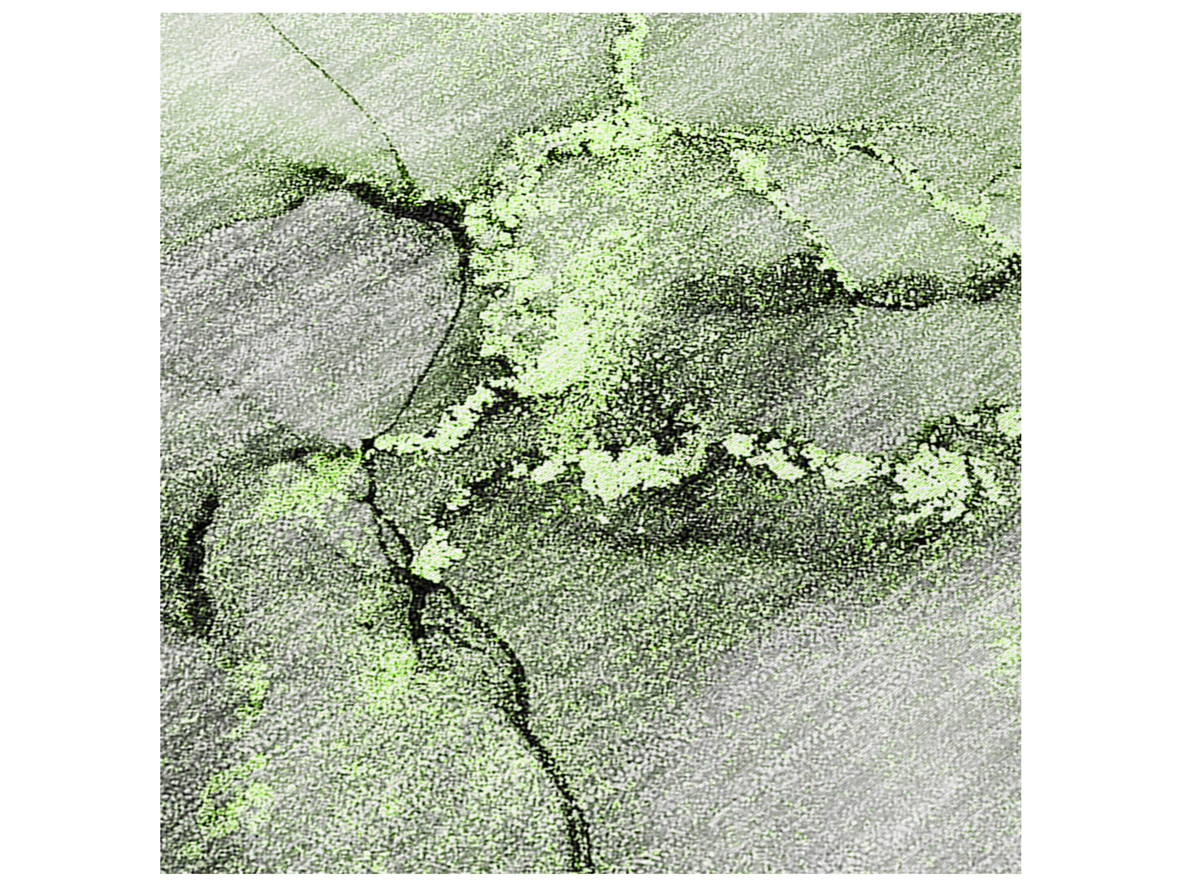 Dalyn Chantille Rectangular Area Rug