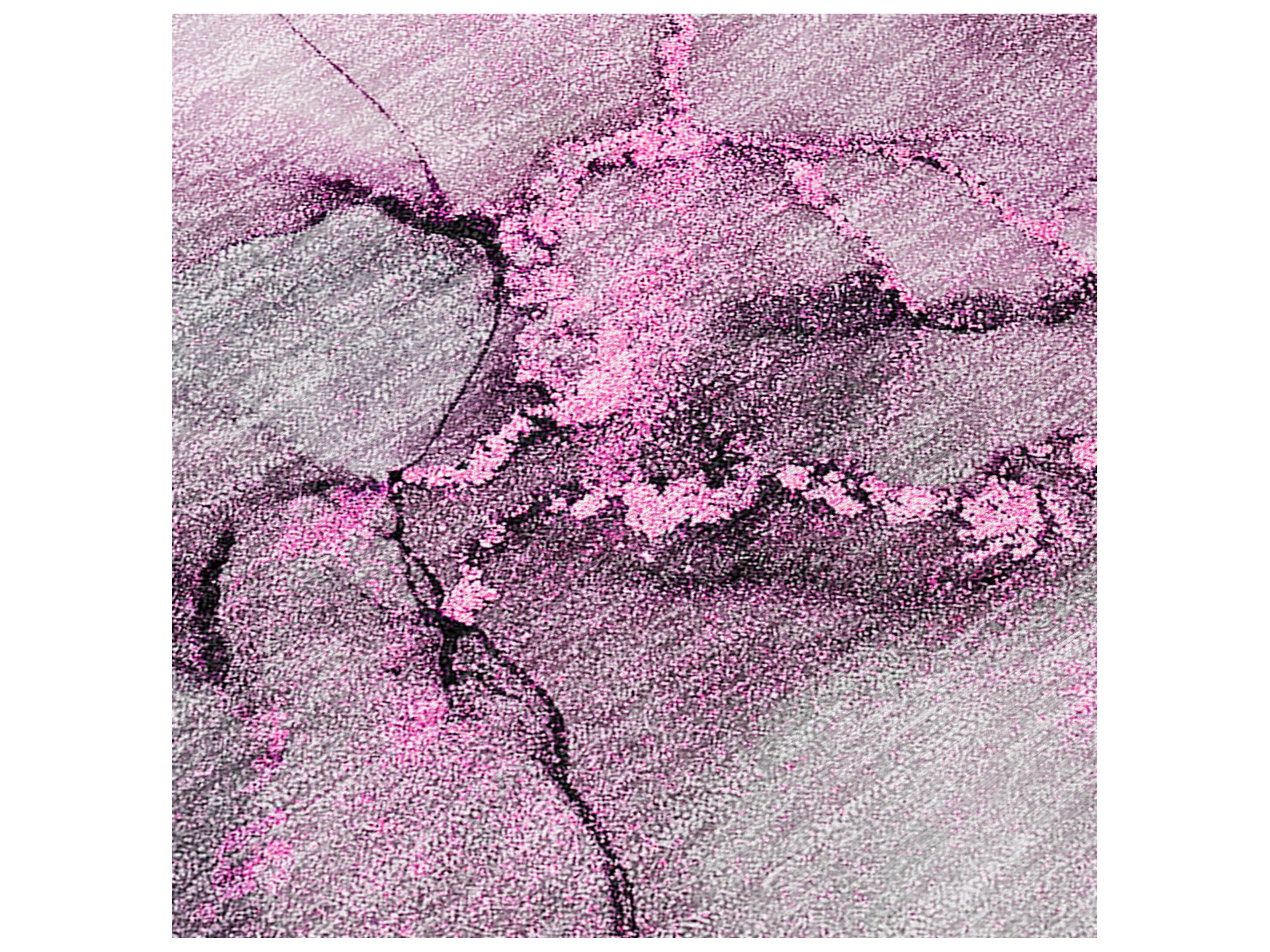 Dalyn Chantille Runner Area Rug