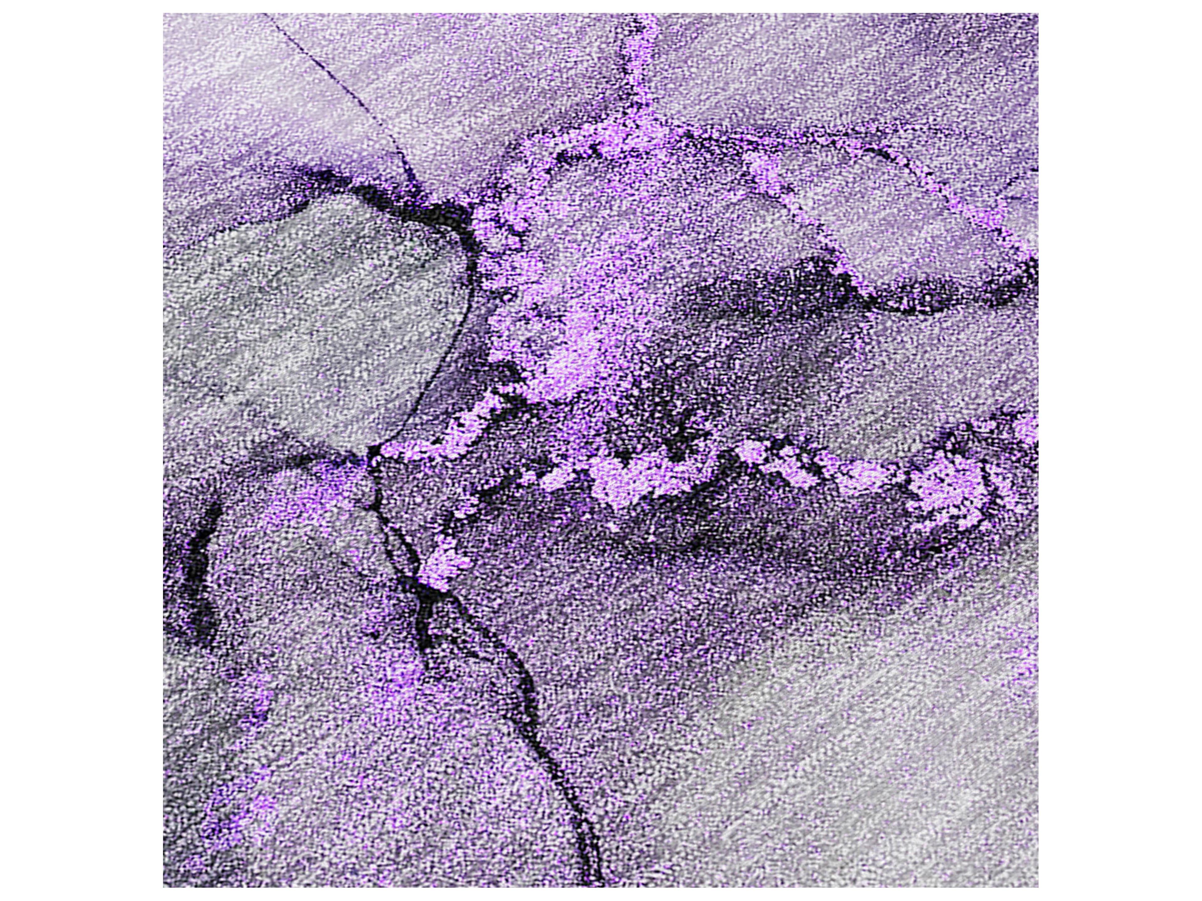 Dalyn Chantille Rectangular Area Rug