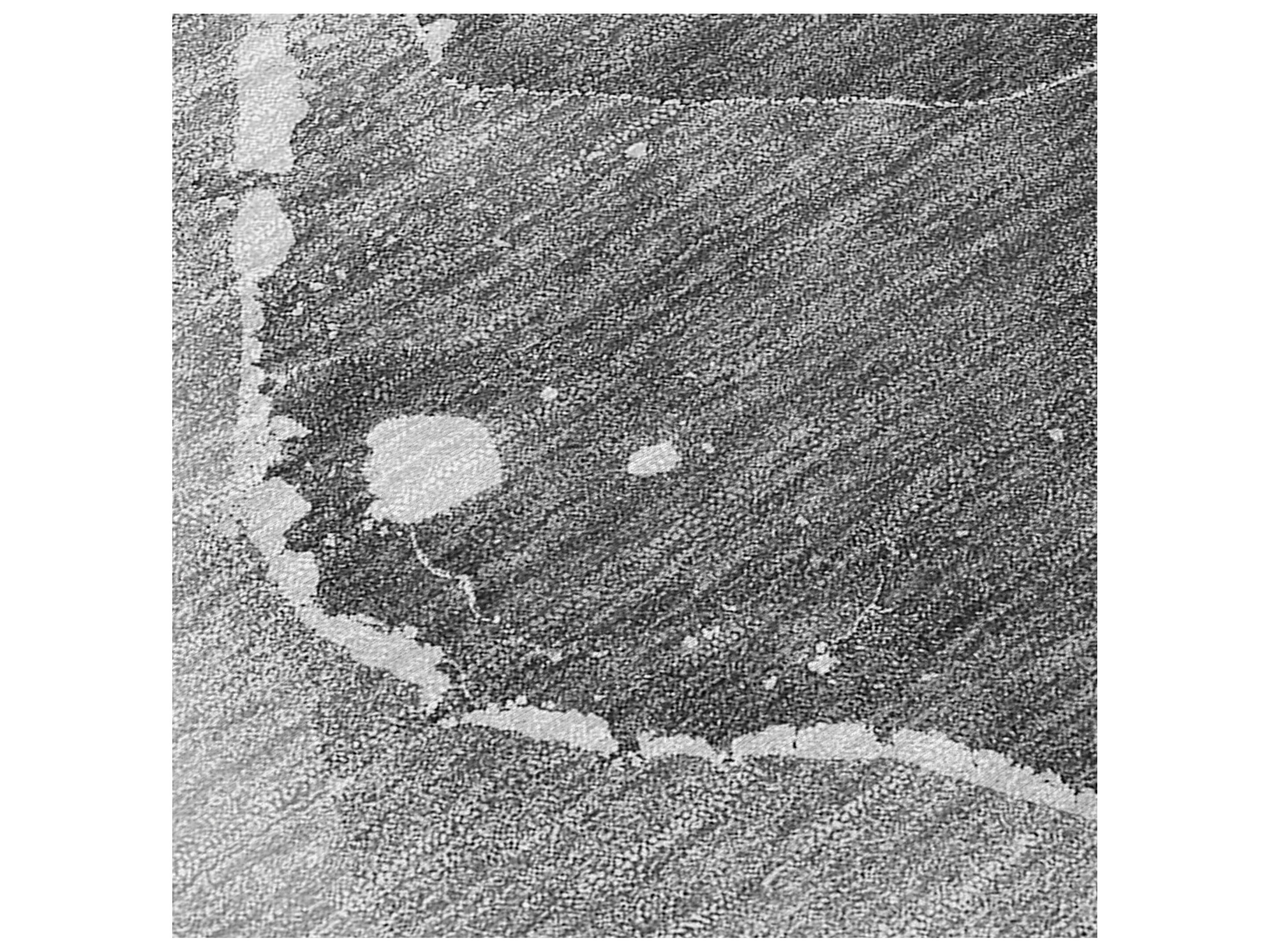 Dalyn Chantille Round Area Rug