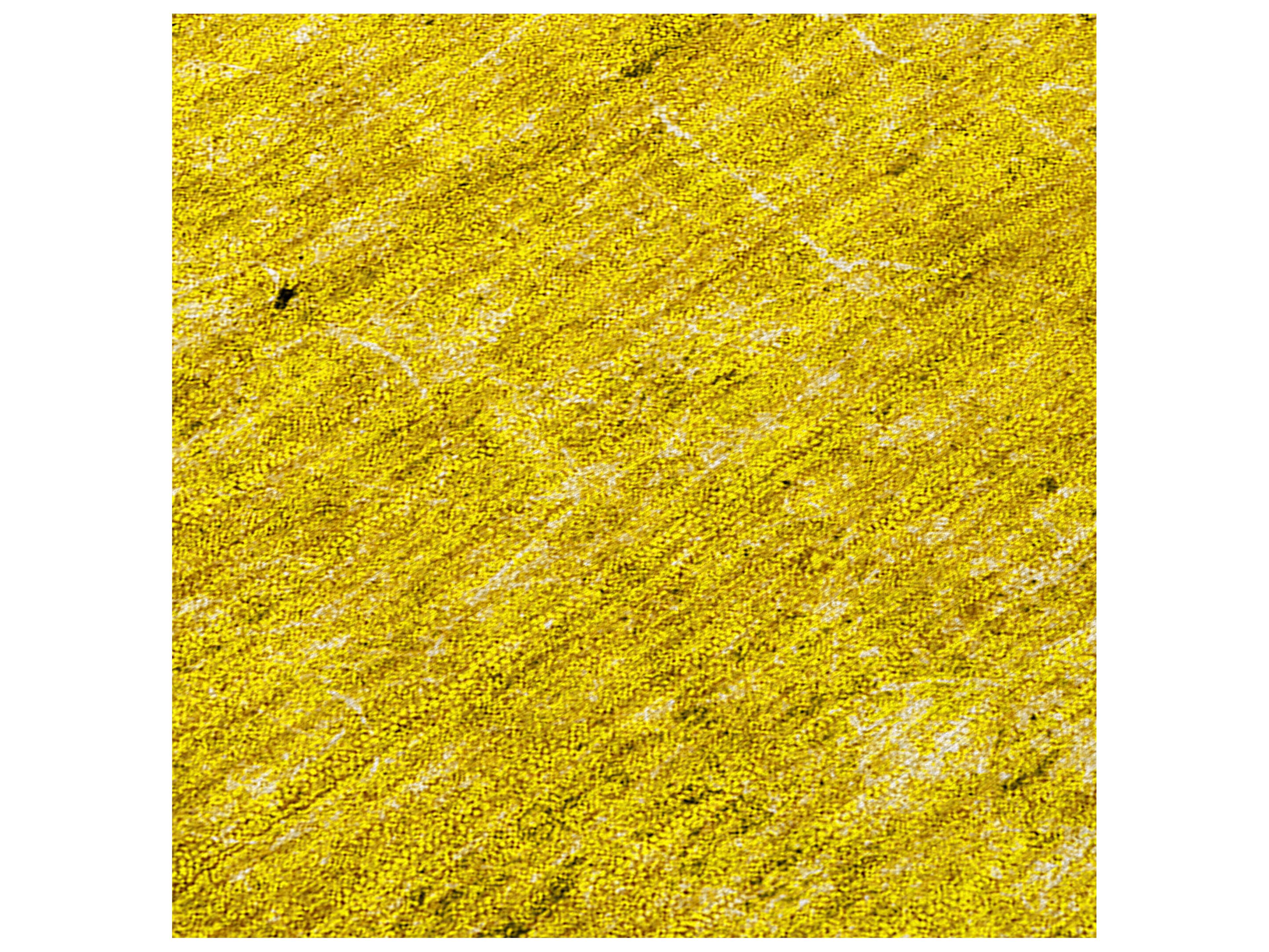 Dalyn Chantille Runner Area Rug