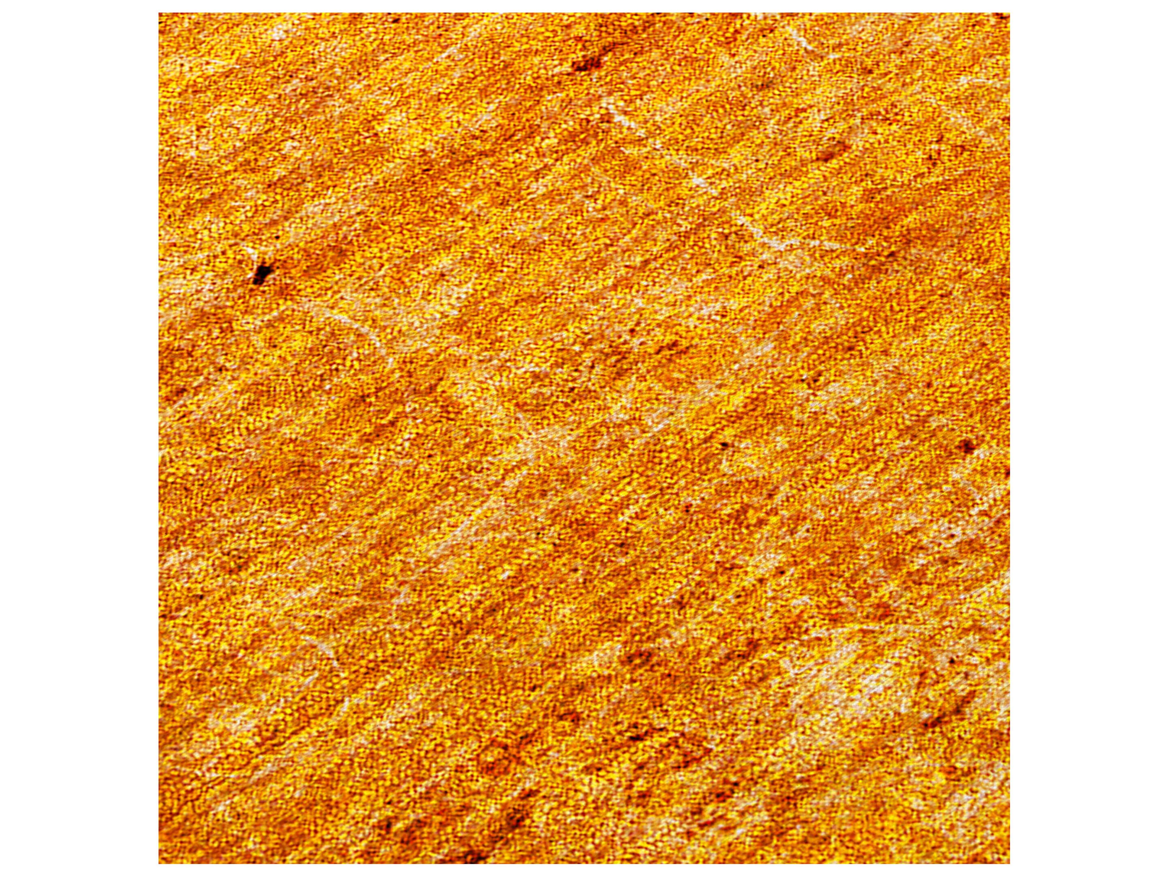 Dalyn Chantille Rectangular Area Rug