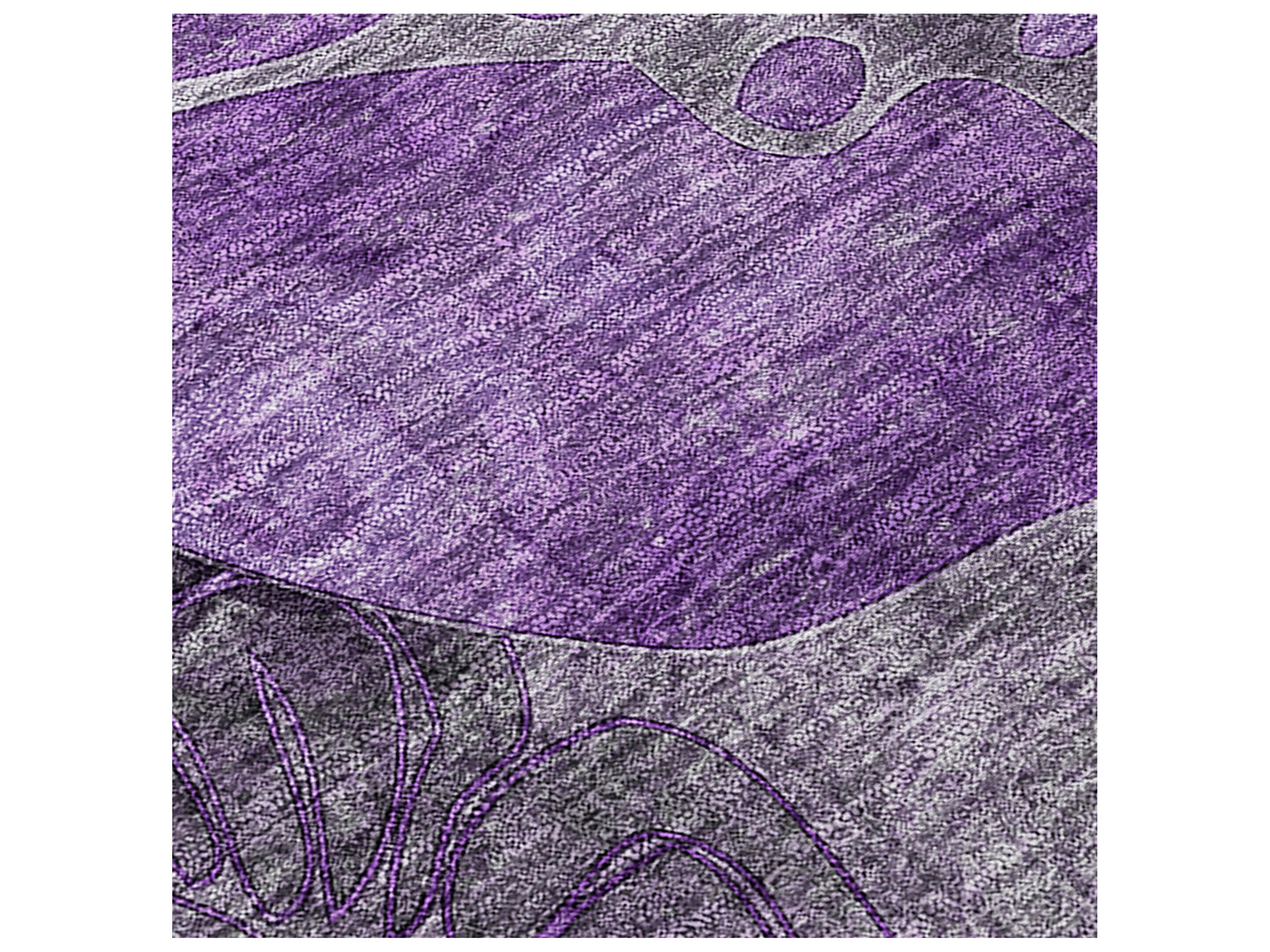 Dalyn Chantille Runner Area Rug