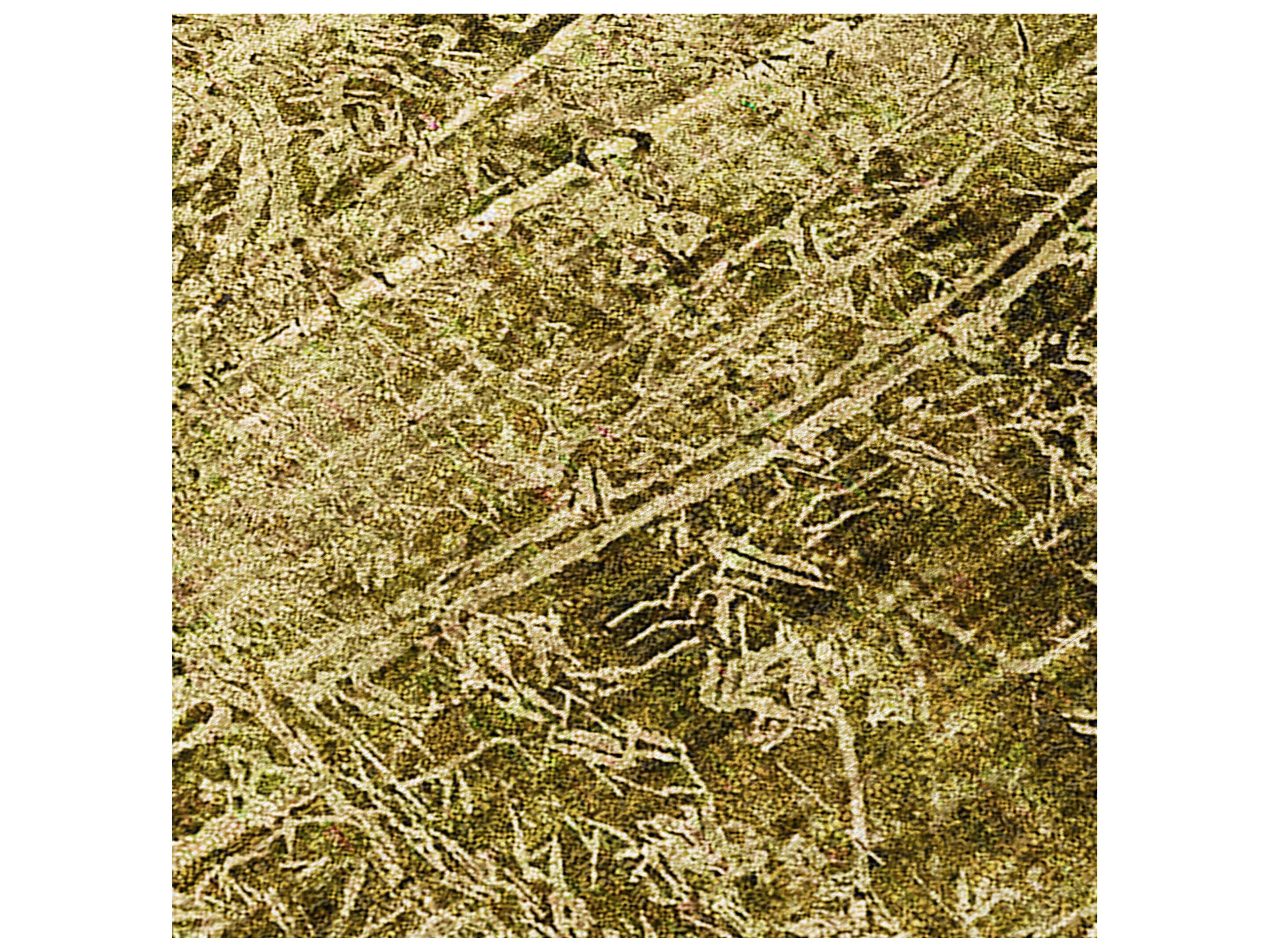 Dalyn Chantille Rectangular Area Rug