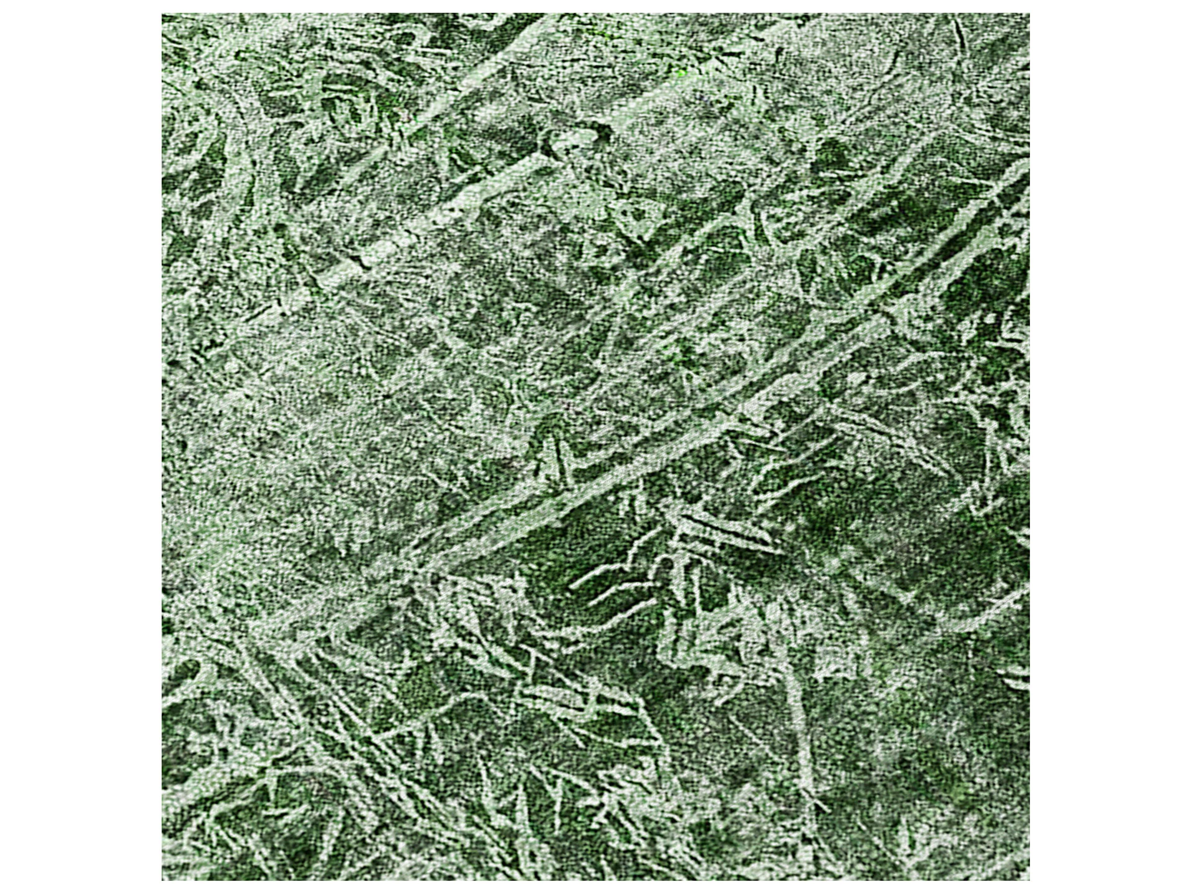 Dalyn Chantille Rectangular Area Rug