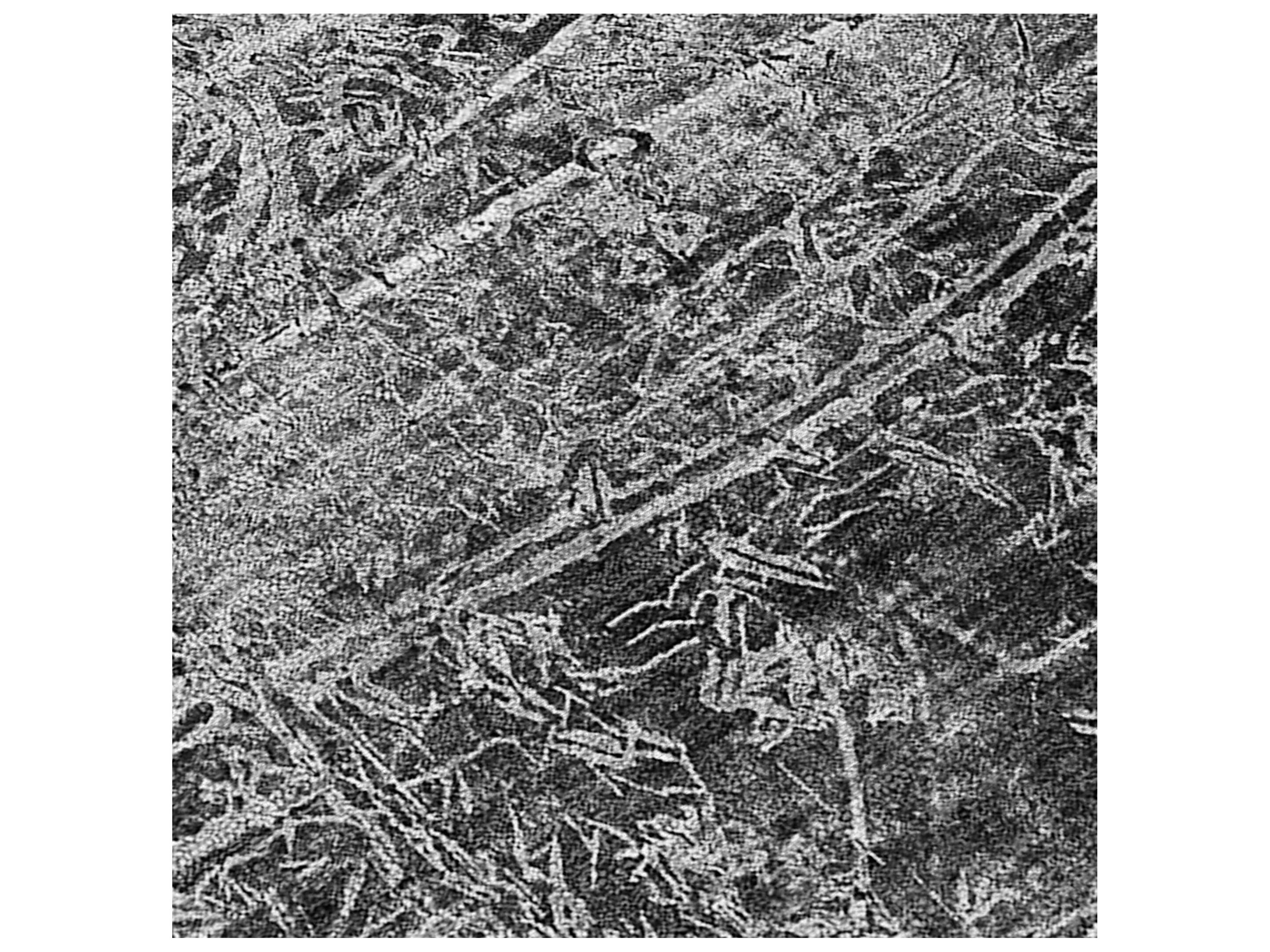 Dalyn Chantille Rectangular Area Rug