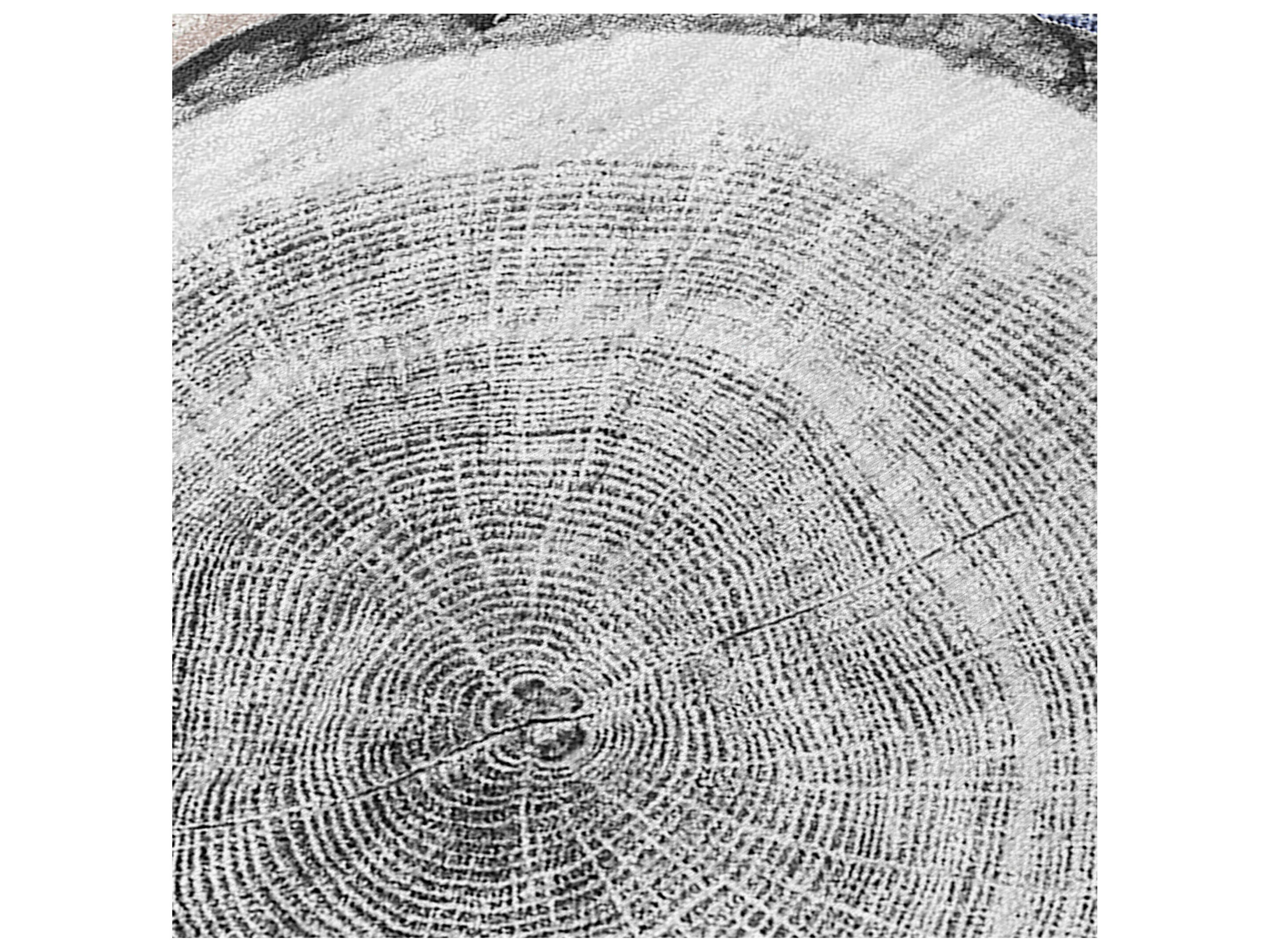 Dalyn Chantille Round Area Rug