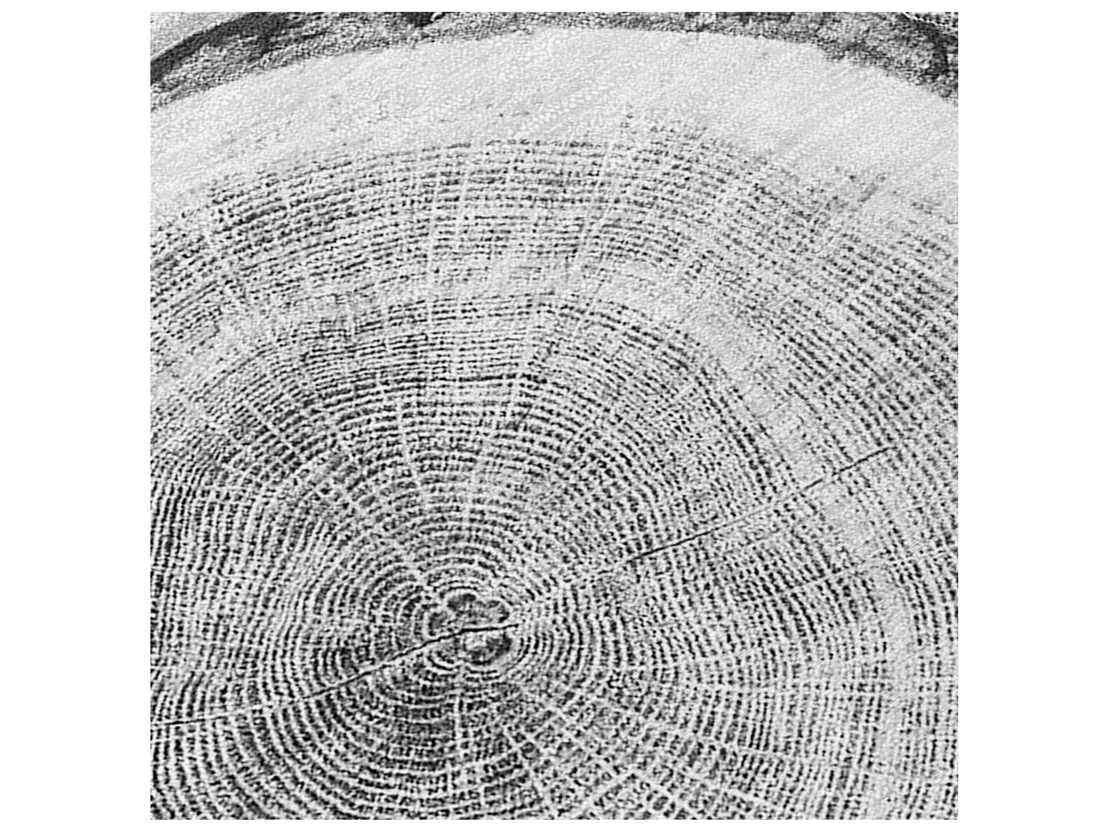 Dalyn Chantille Round Area Rug