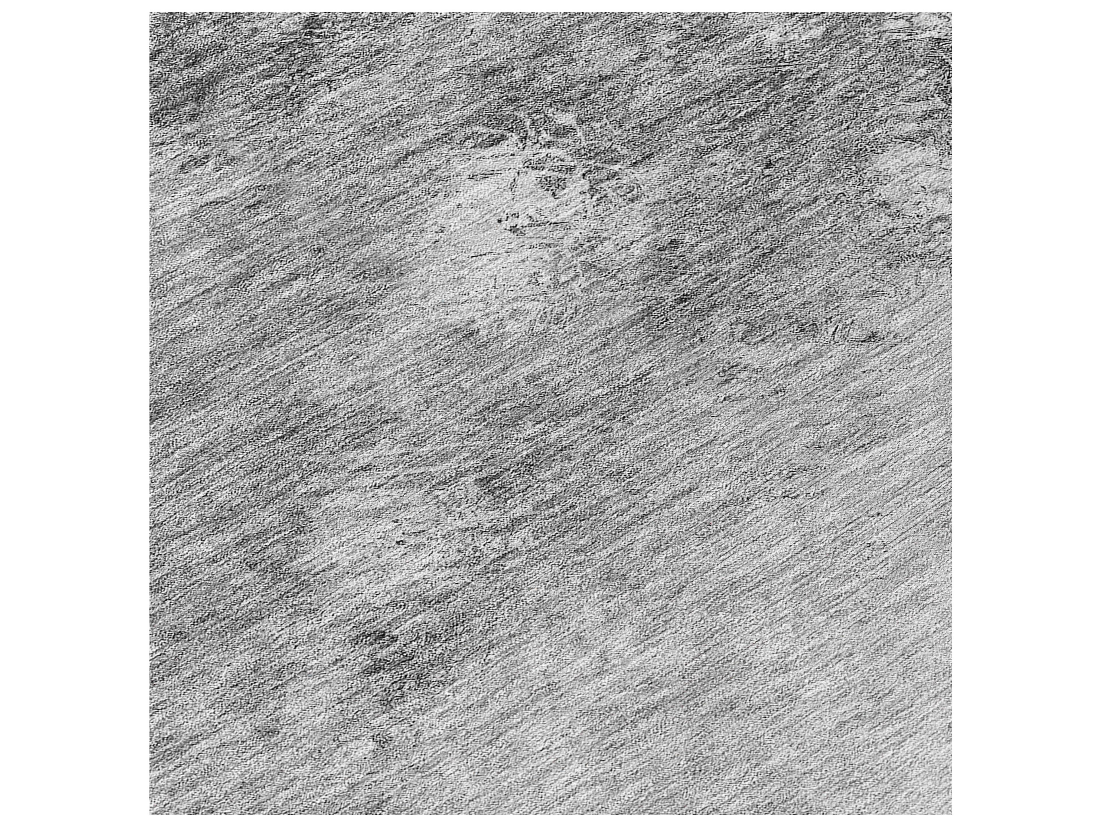 Dalyn Chantille Runner Area Rug