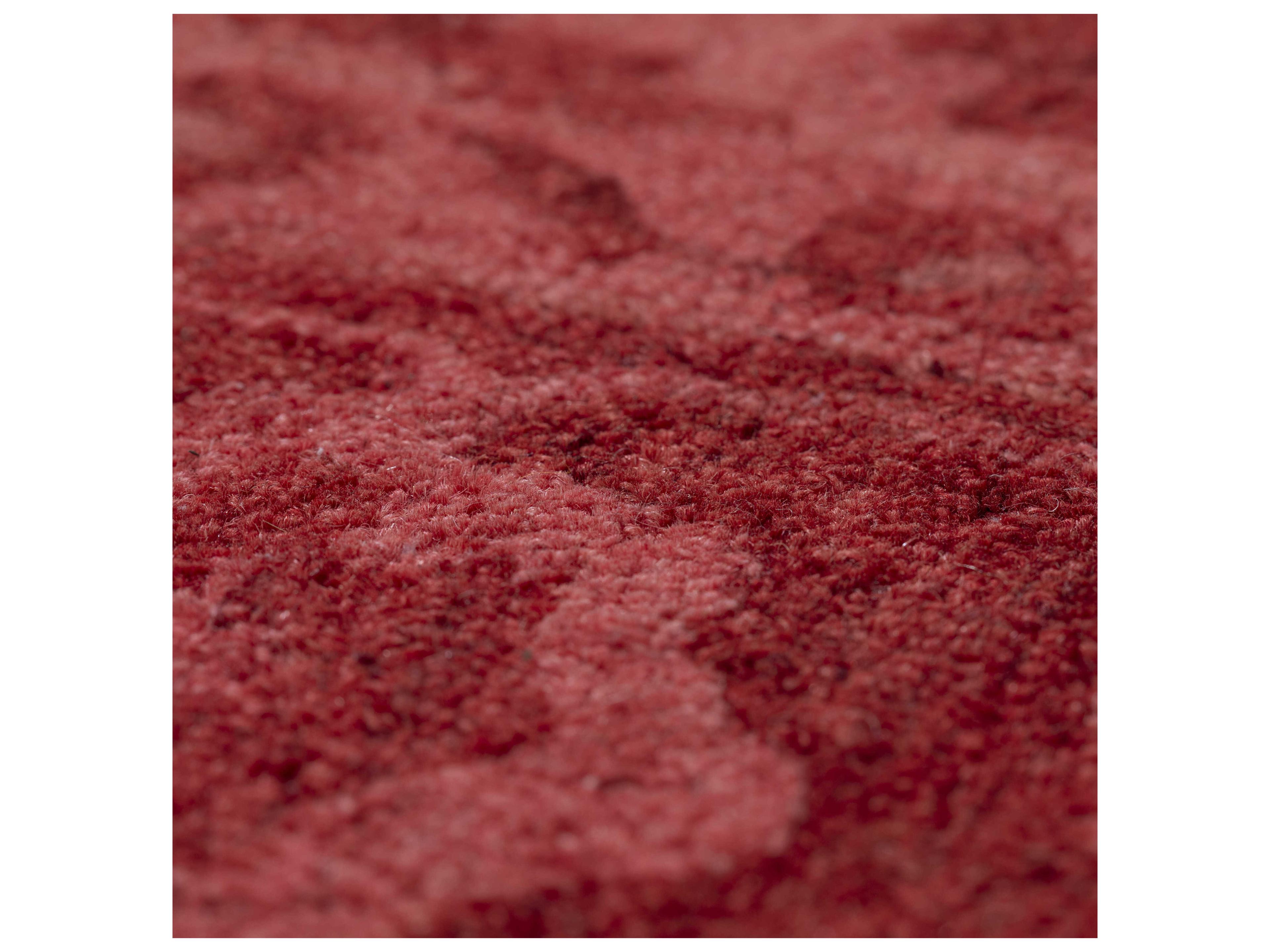 Dalyn Harlow Bordered Area Rug