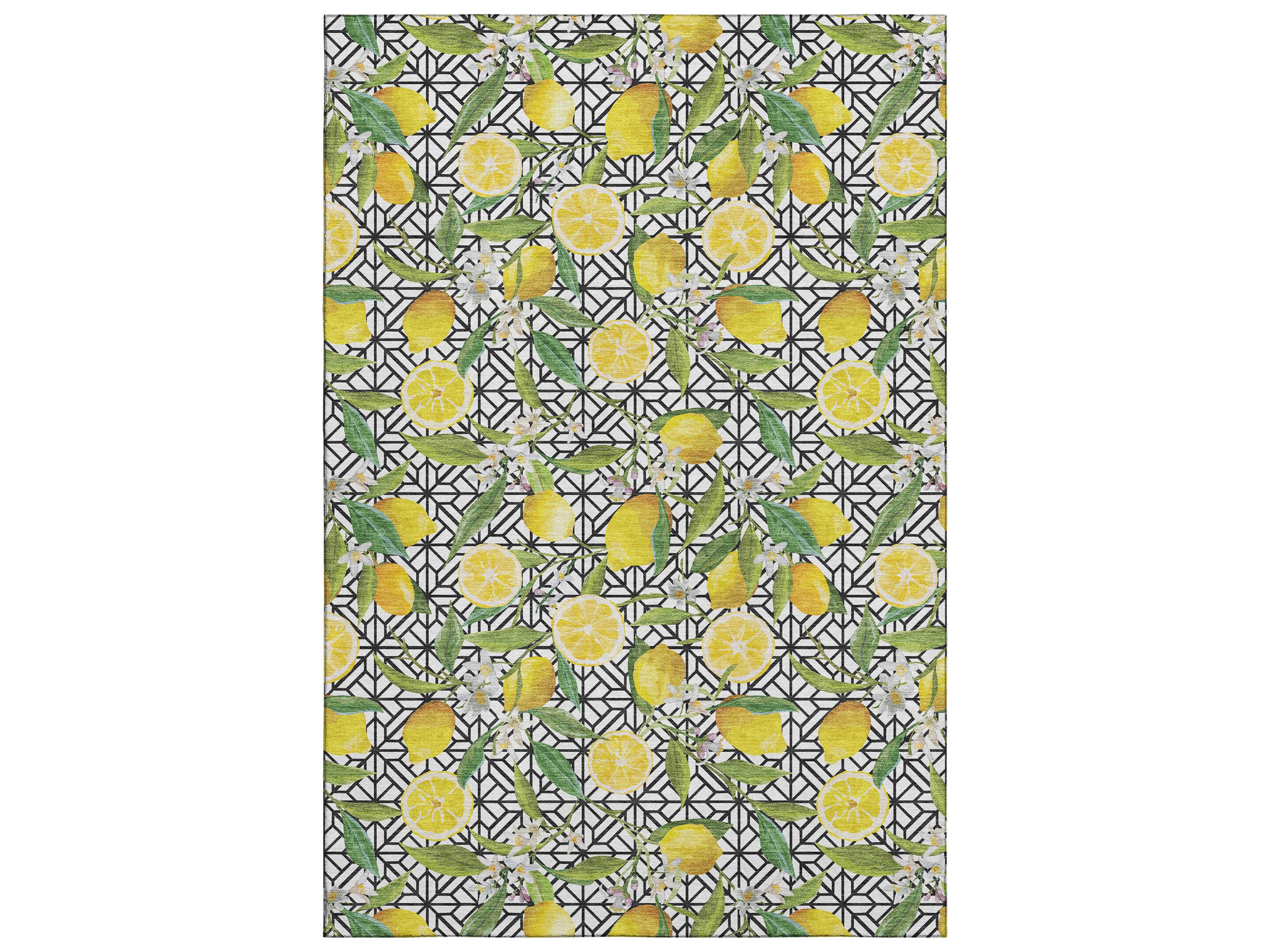Mayfield Graphic Area Rug