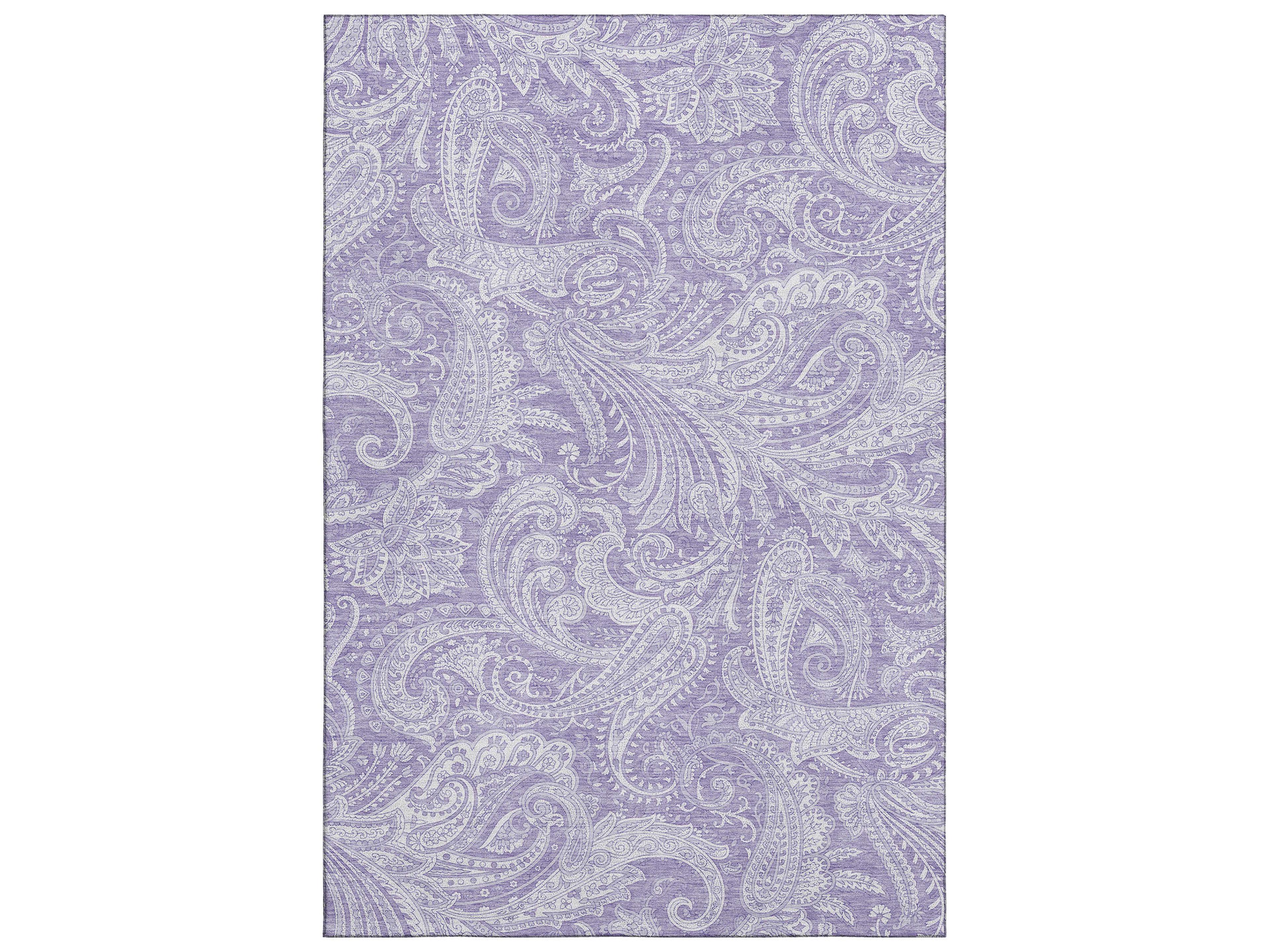 Mayfield Paisley Area Rug