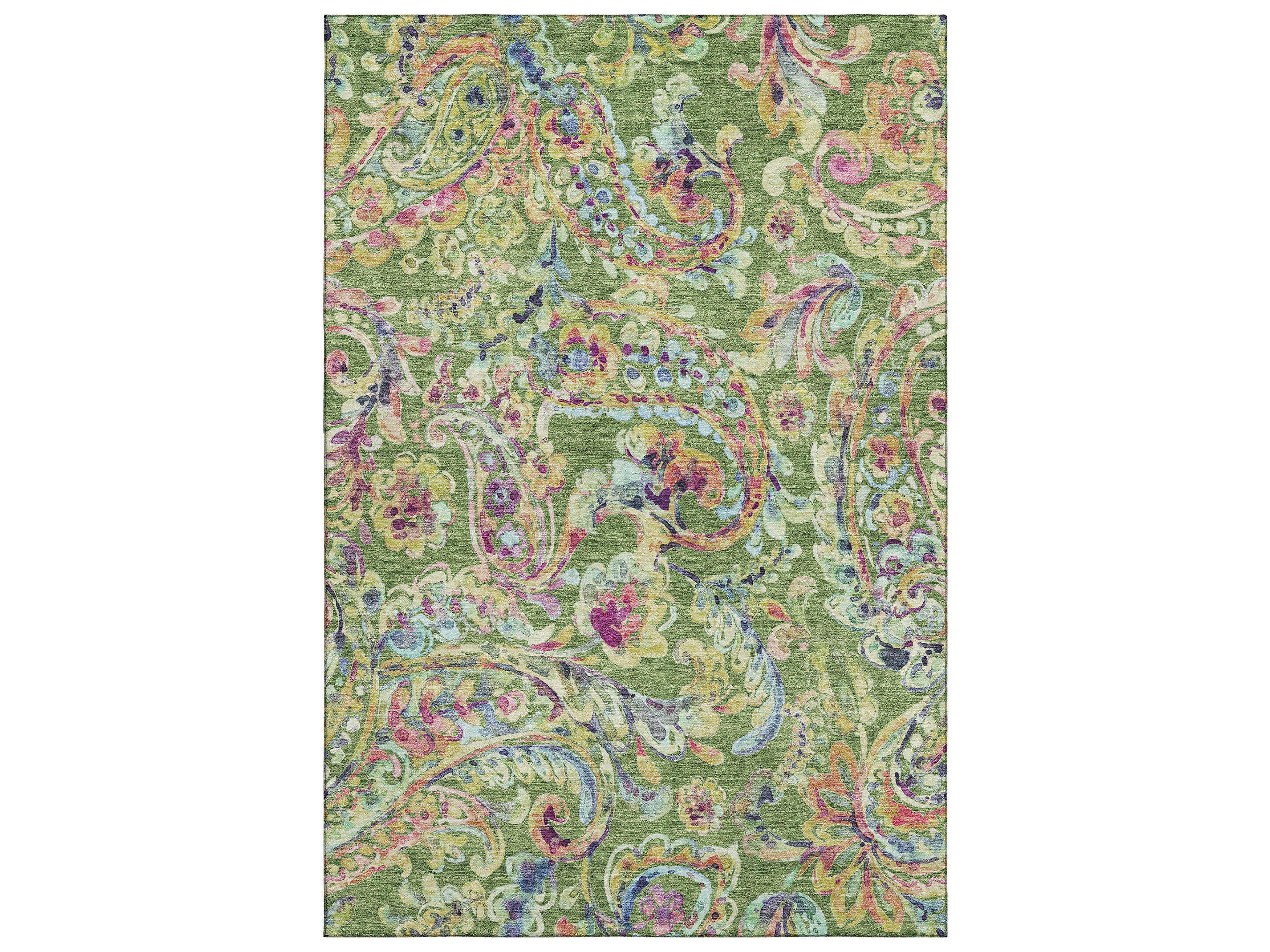 Mayfield Paisley Area Rug
