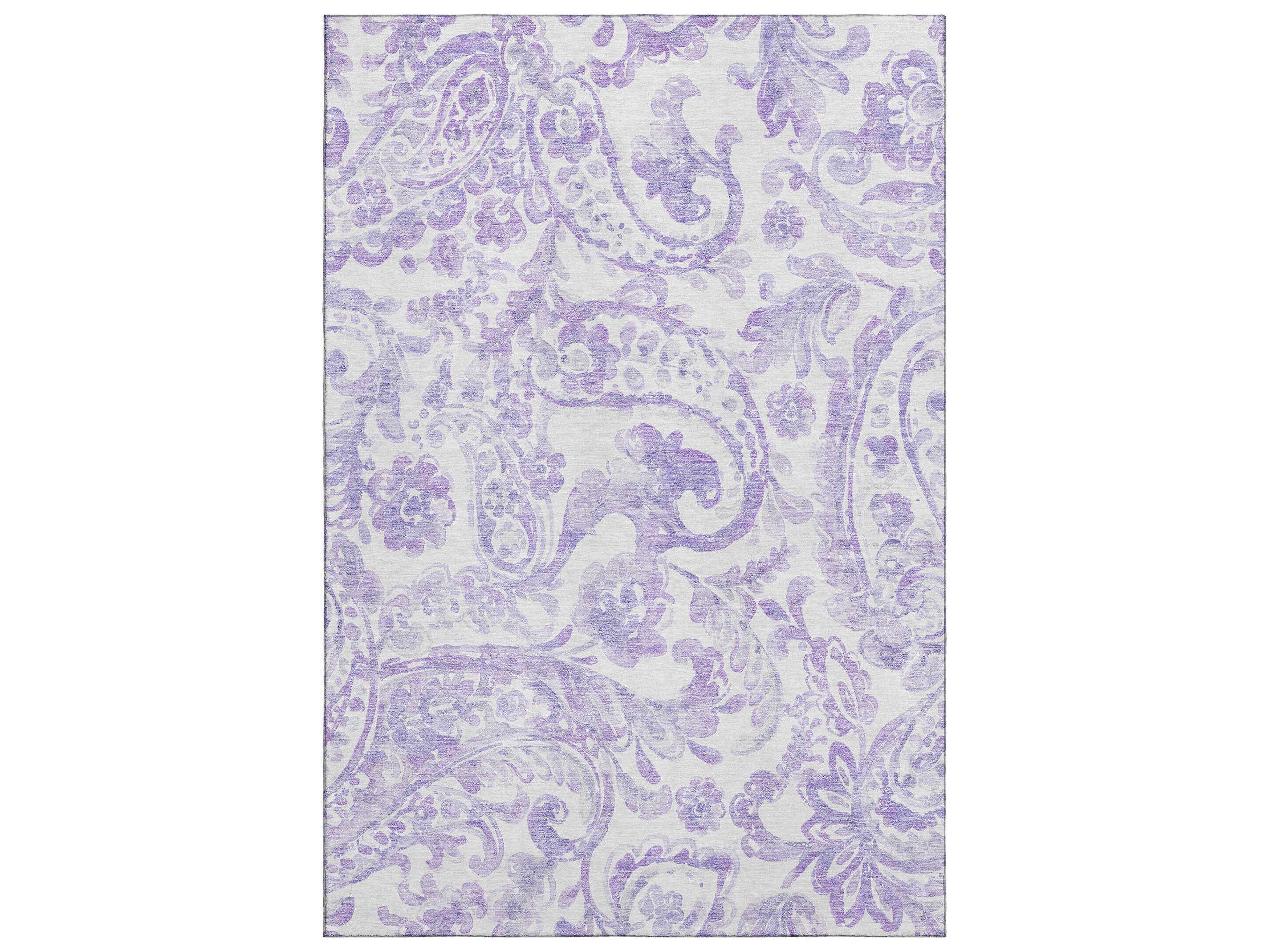 Mayfield Paisley Area Rug