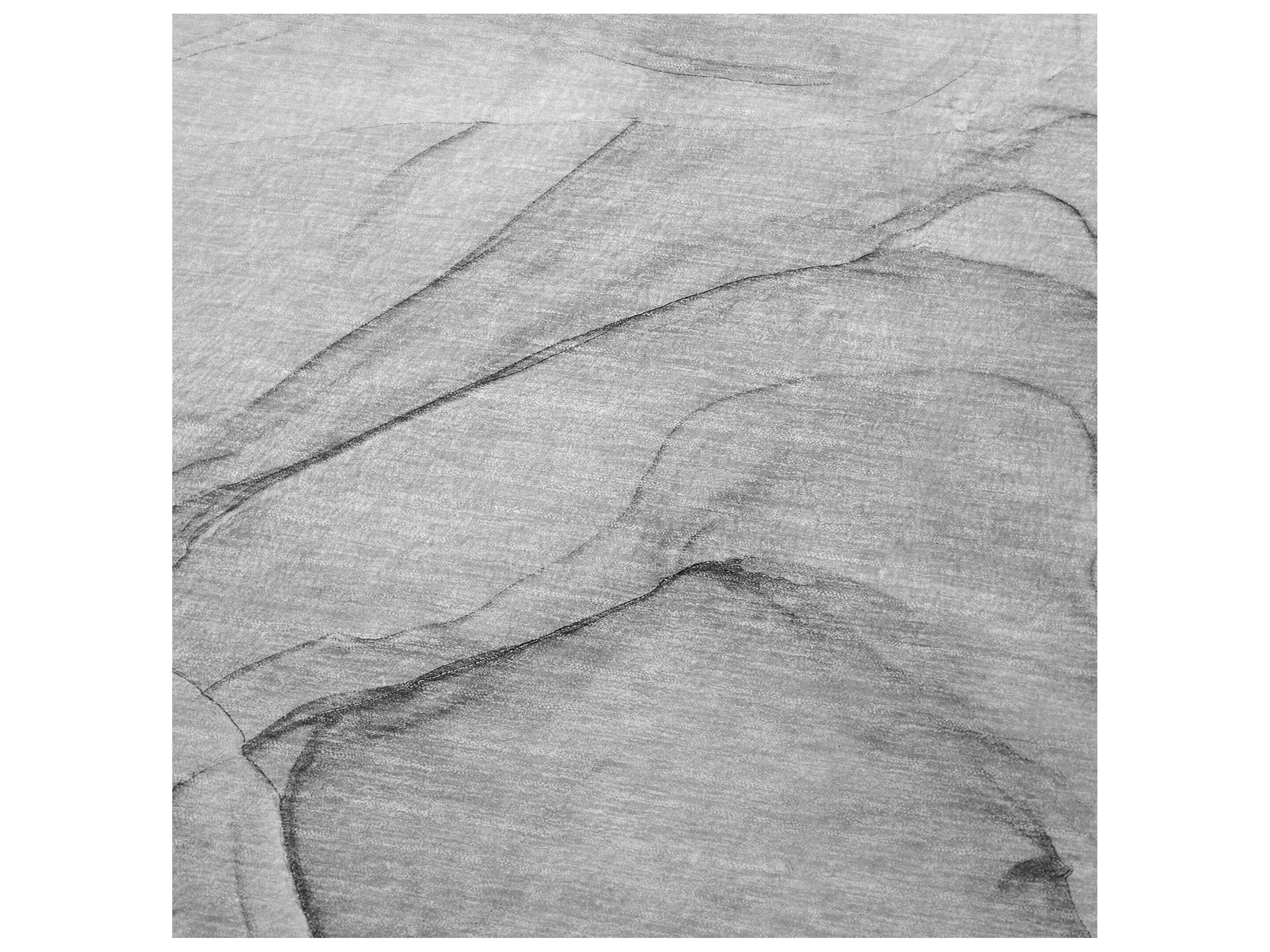 Dalyn Sherpa Gray Polyester Throw