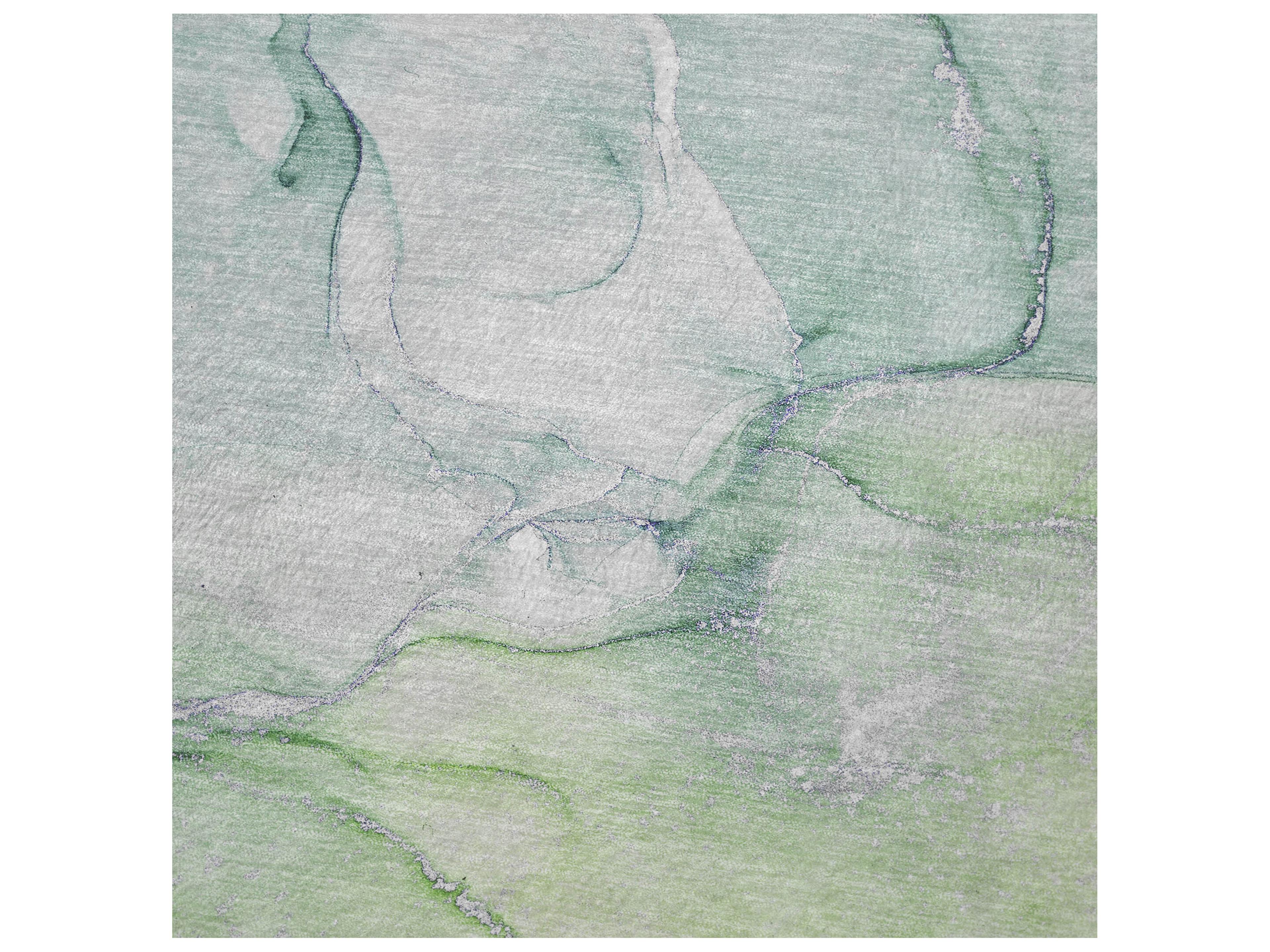 Dalyn Sherpa Green Polyester Throw