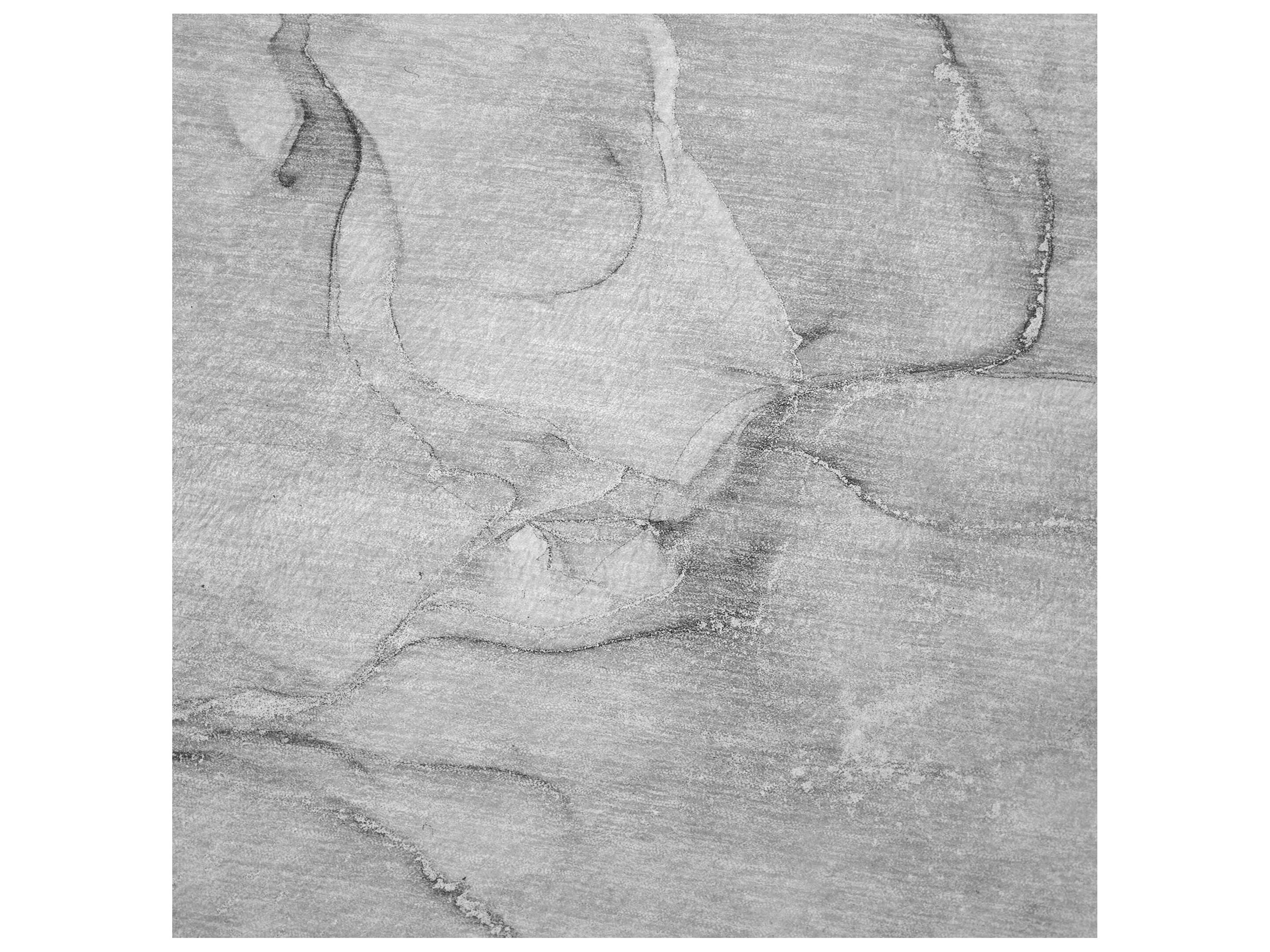 Dalyn Sherpa Gray Polyester Throw