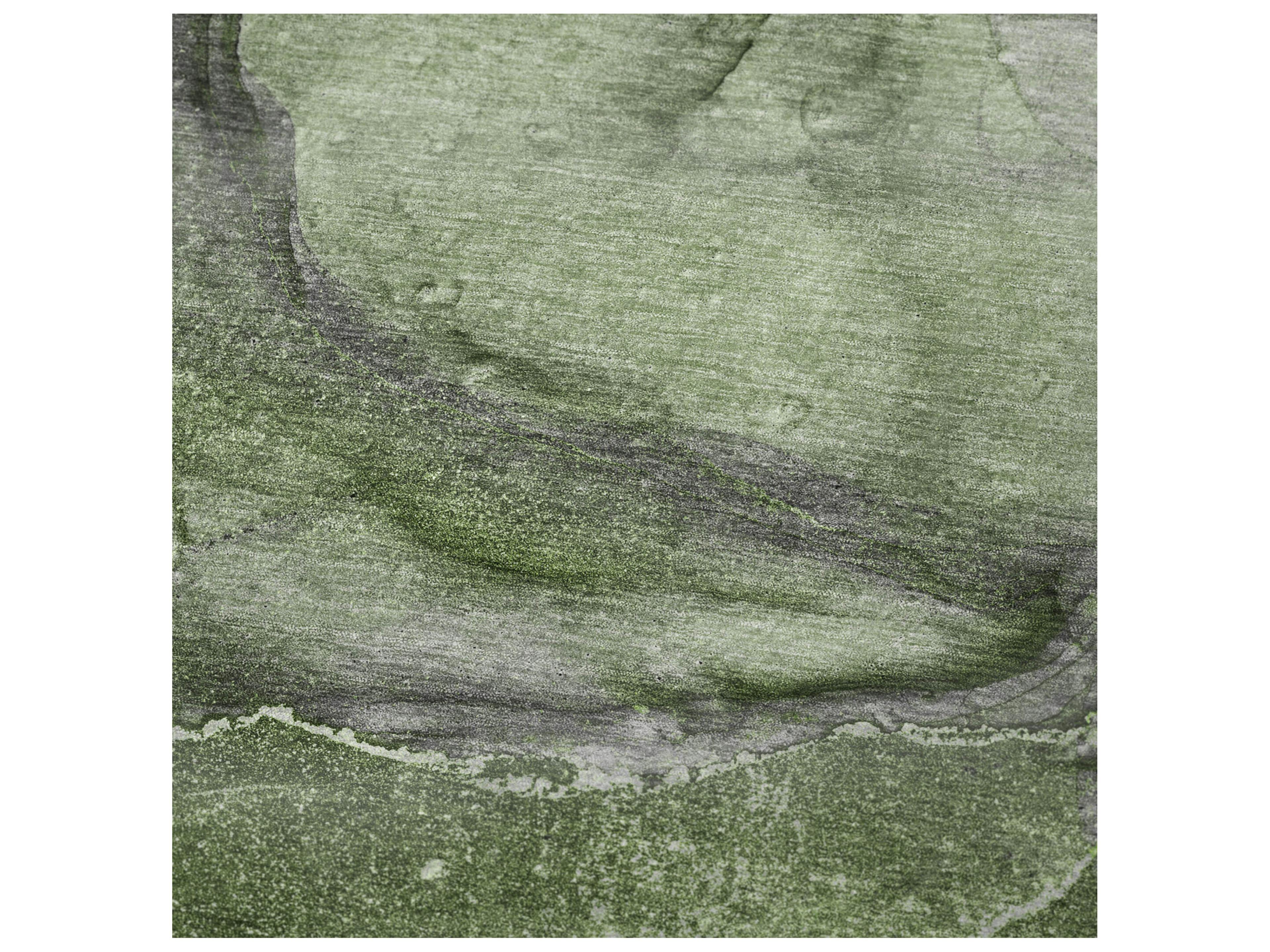 Dalyn Sherpa Green Polyester Throw