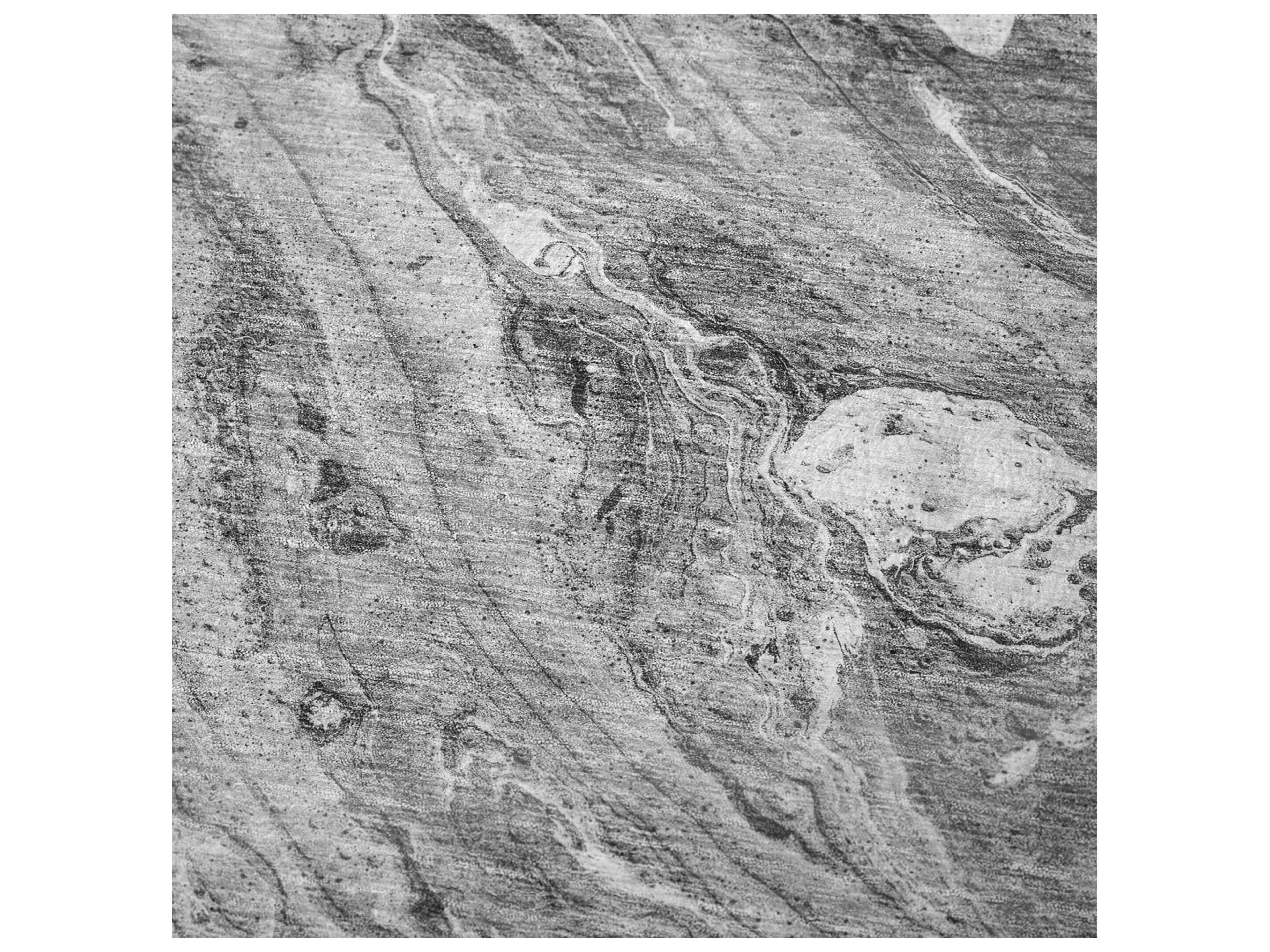 Dalyn Sherpa Gray Polyester Throw